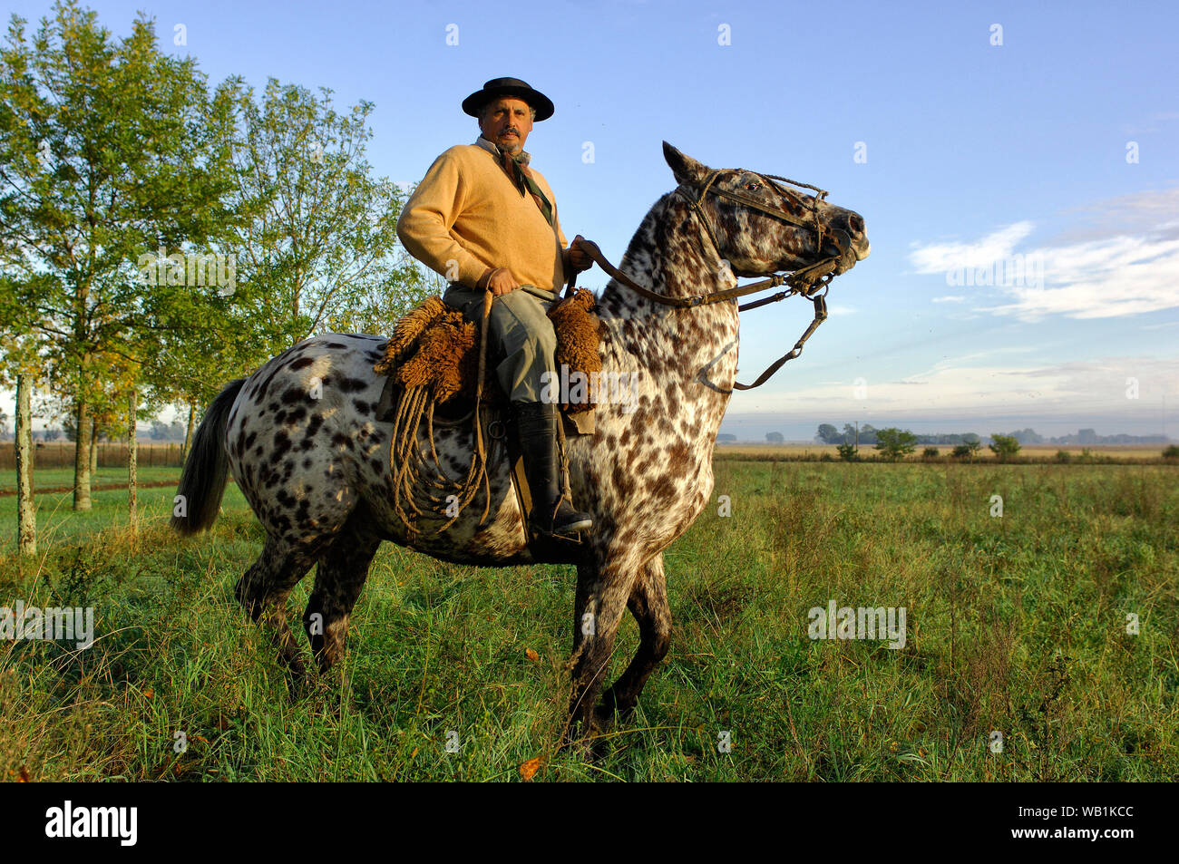 Gaucho Ramon Castro, Hacienda El Ombu de Areco, San Antonio de Areco, Buenos Aires, Argentinien, Südamerika, 30077960 Stockfoto