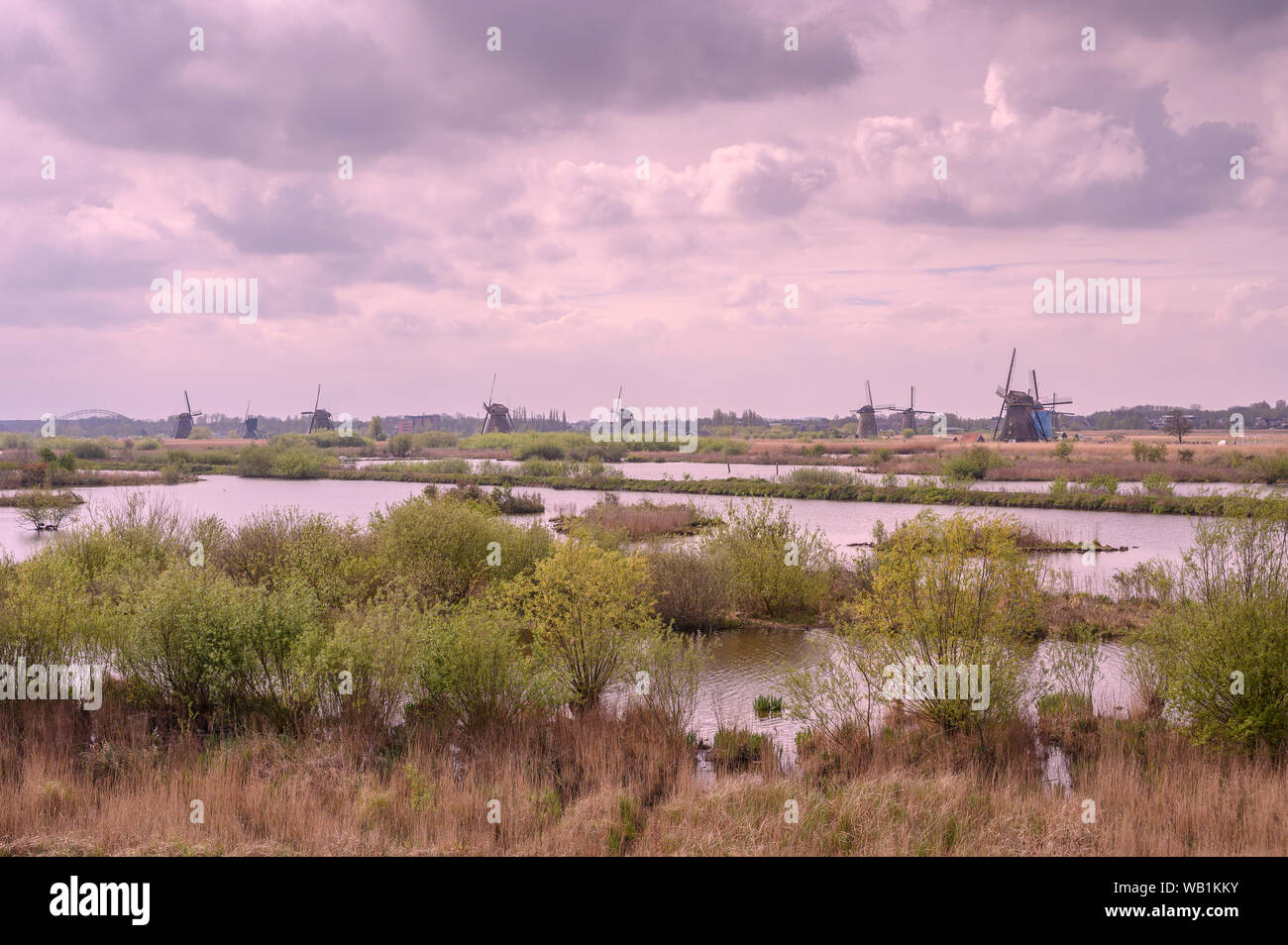 Europa, Europäische, Niederlande, Kinderdijk Landschaft, 30078100 Stockfoto