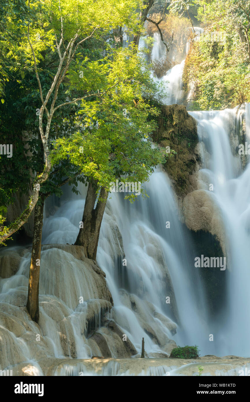 Asien, Südostasien, Laos, Luang Prabang, Kuang Si Wasserfälle, 30078219 Stockfoto