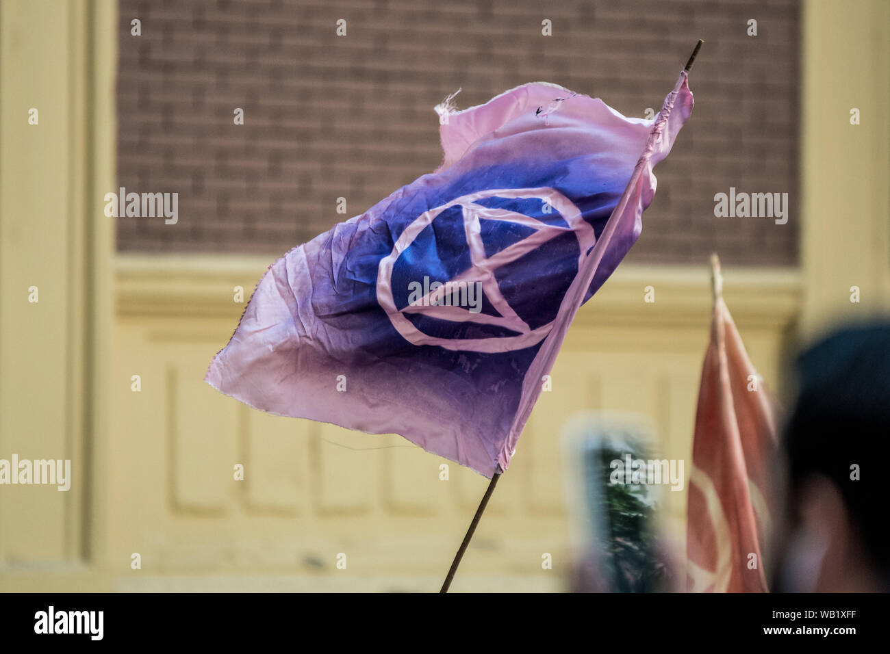 Ein Aussterben Rebellion Flagge während der Demonstration fliegen. Demonstranten die Straße vor der Brasilianischen Botschaft in einem Aussterben Rebellion Spanien protestieren gegen Präsident Jair Bolsonaro, in Madrid blockiert. Stockfoto