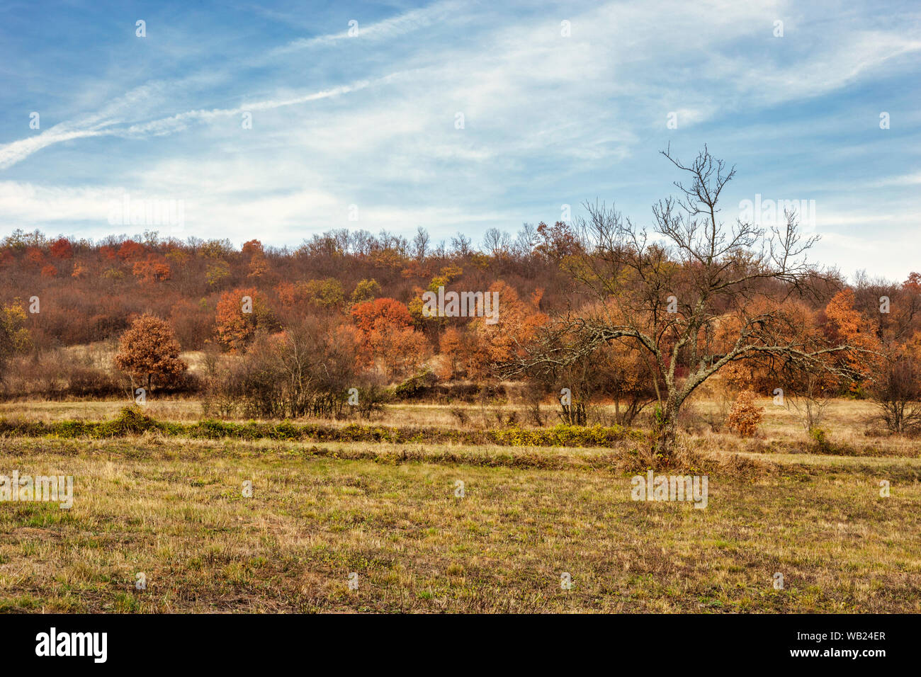 Schönen Herbst Landschaft Landschaft am Nachmittag, mit vielen Farben. Schönheit der Natur Konzept. Stockfoto