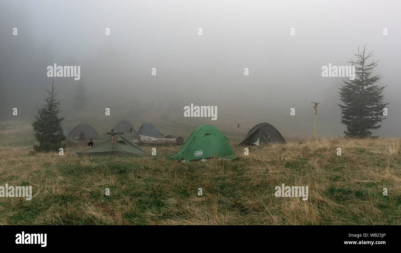 Nebeliger morgen Wald in der Ukraine. Karpaty Gebirge campside mit neigt Stockfoto
