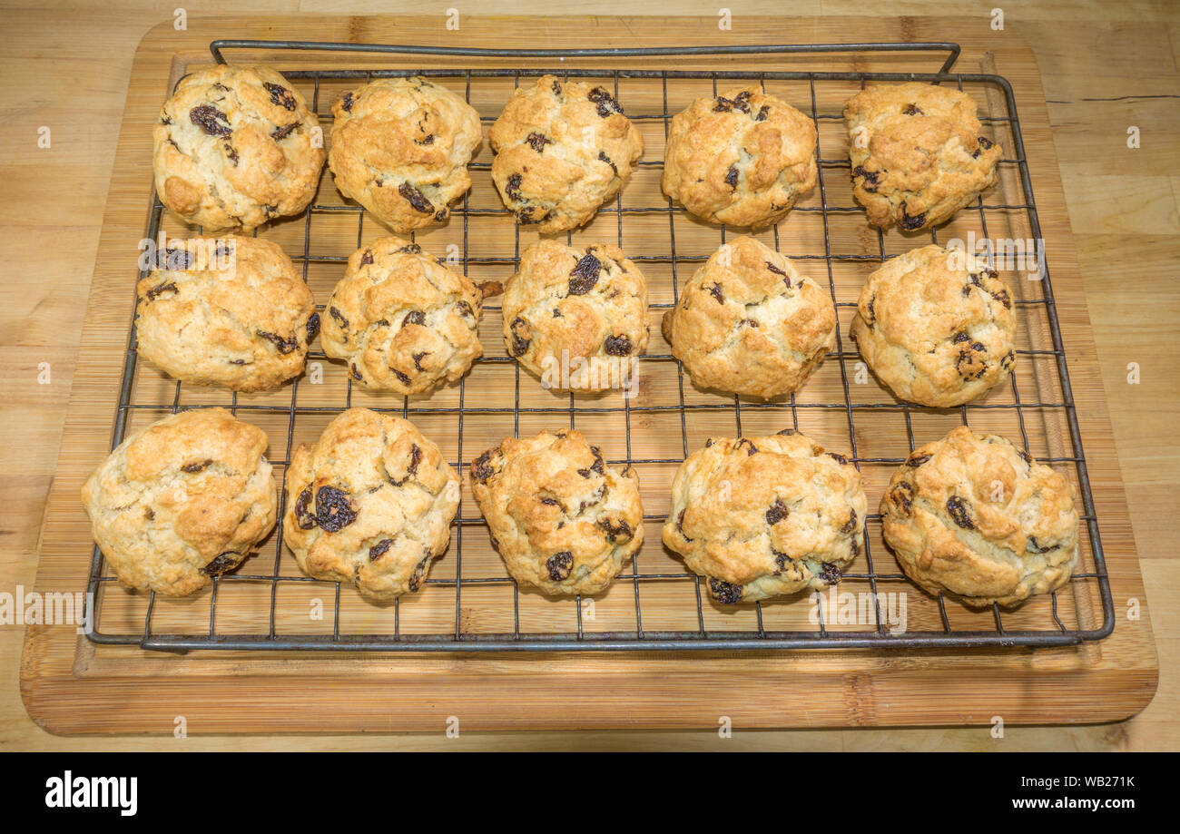 Traditionelle, warme, frisch gebackene Kuchen, Rock/Rock Brötchen (kleine Kuchen mit Rosinen, mit einem Äußeren raue Oberfläche und weichen Mitte) auf einem Gitter abkühlen. Stockfoto