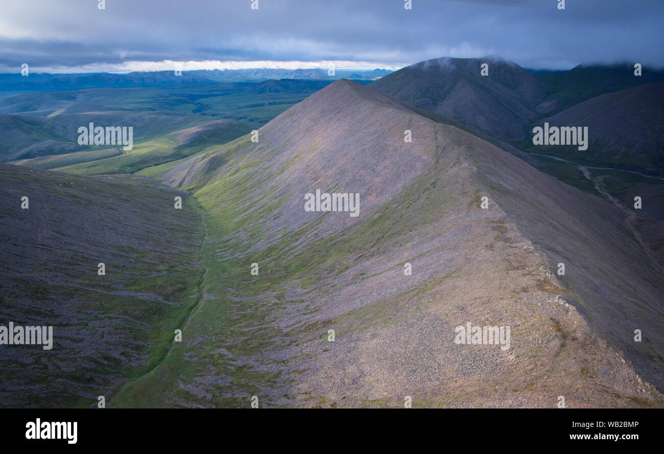 Yukon, Kanada - 23. Juli 2016: Der Porcupine Caribou Herde Sommer Migration durch Yukon Arctic North Slope Region.. Stockfoto