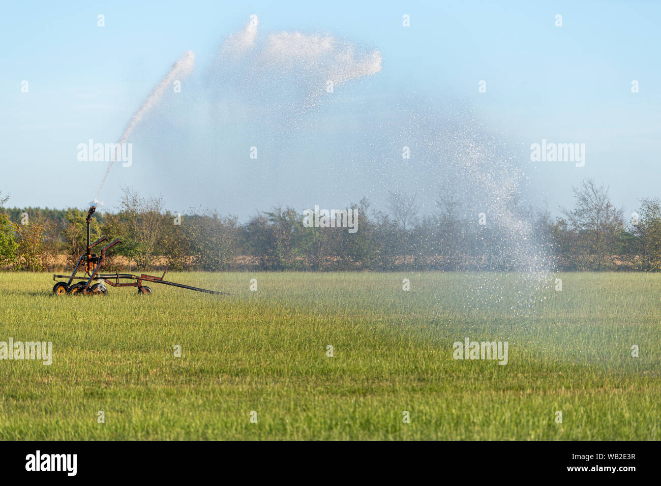 Sprinkler in einem großen trockenen Weide im Sommer in Niederlande Stockfoto