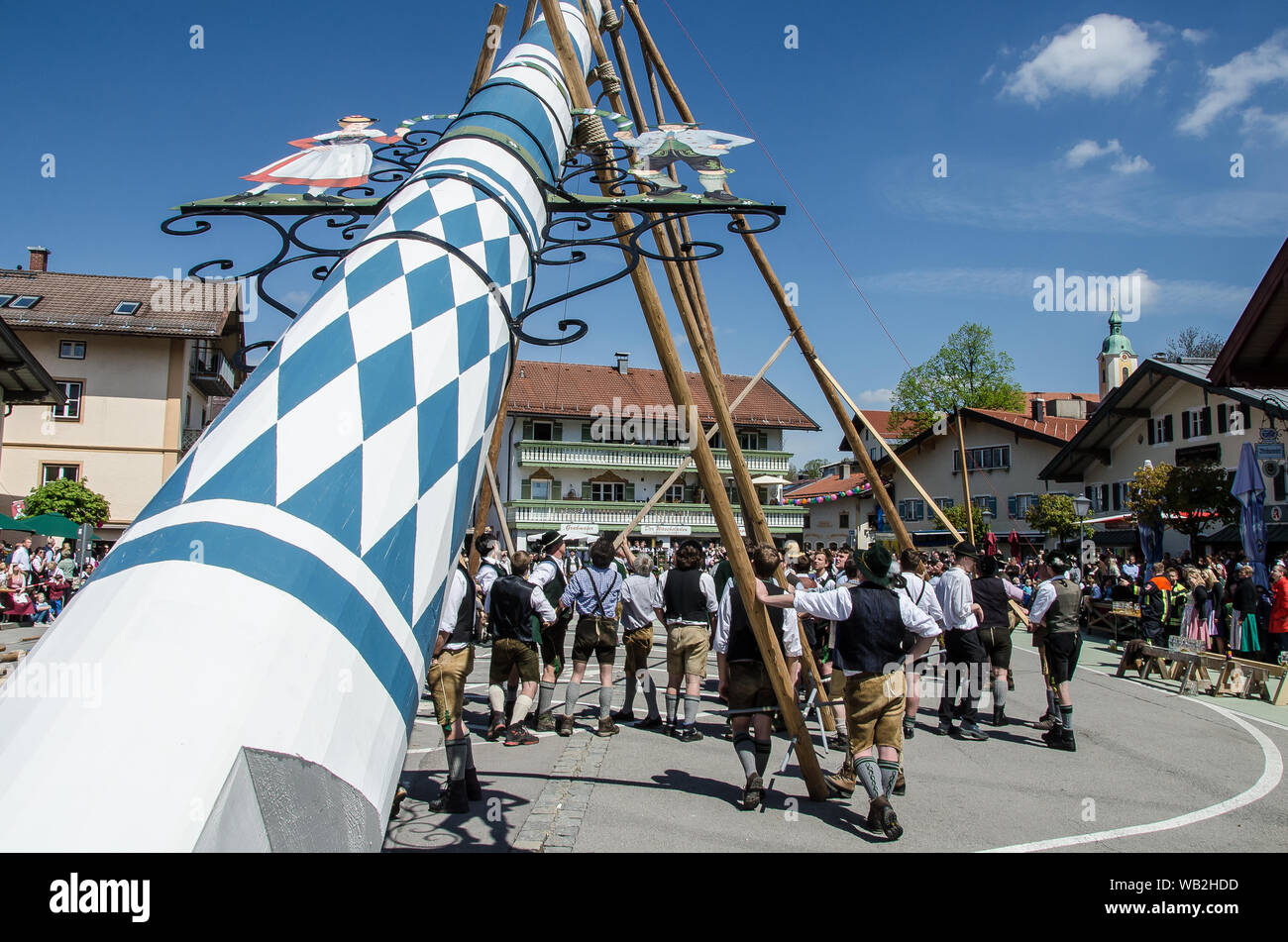 Eine der ältesten Traditionen noch in Oberbayern gepflegt ist die Einrichtung des traditionellen Maibaum zusammen mit Musik und Bier trinkt. Stockfoto