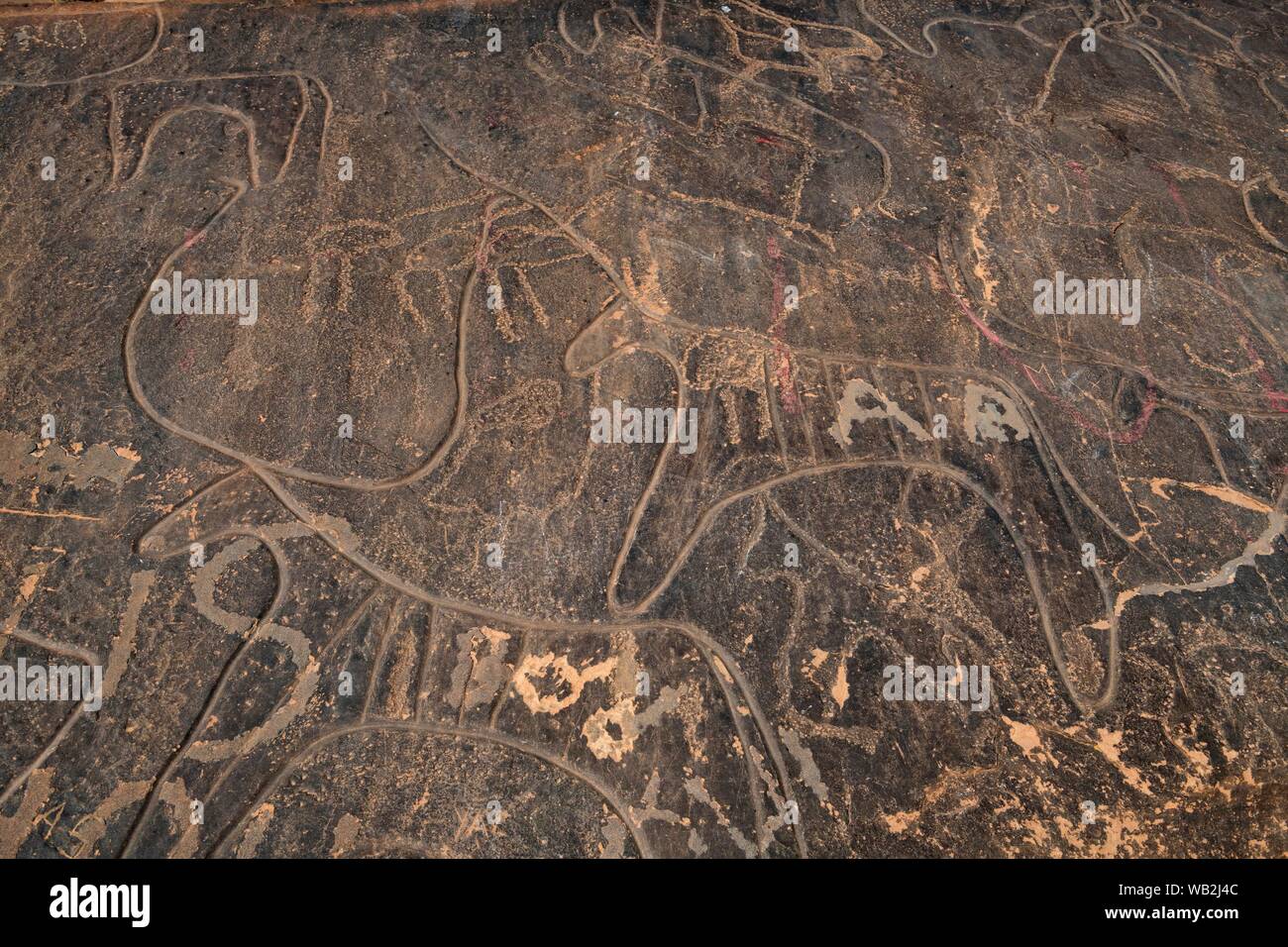 Prähistorische Felszeichnungen in der Nähe von Taghit, westlichen Algerien, Algerien Stockfoto