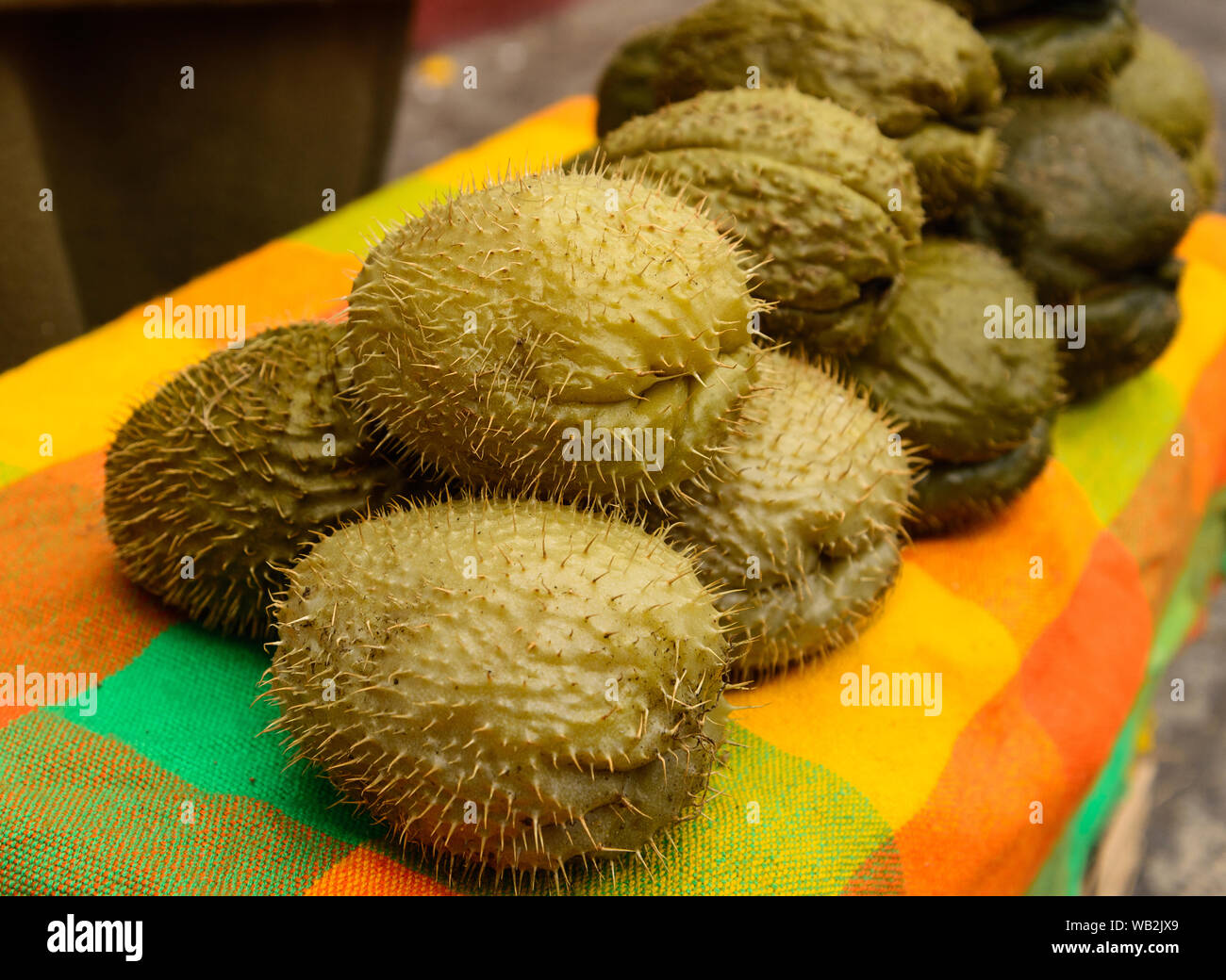 Chayote, Gemüse aus Mexiko Stockfoto