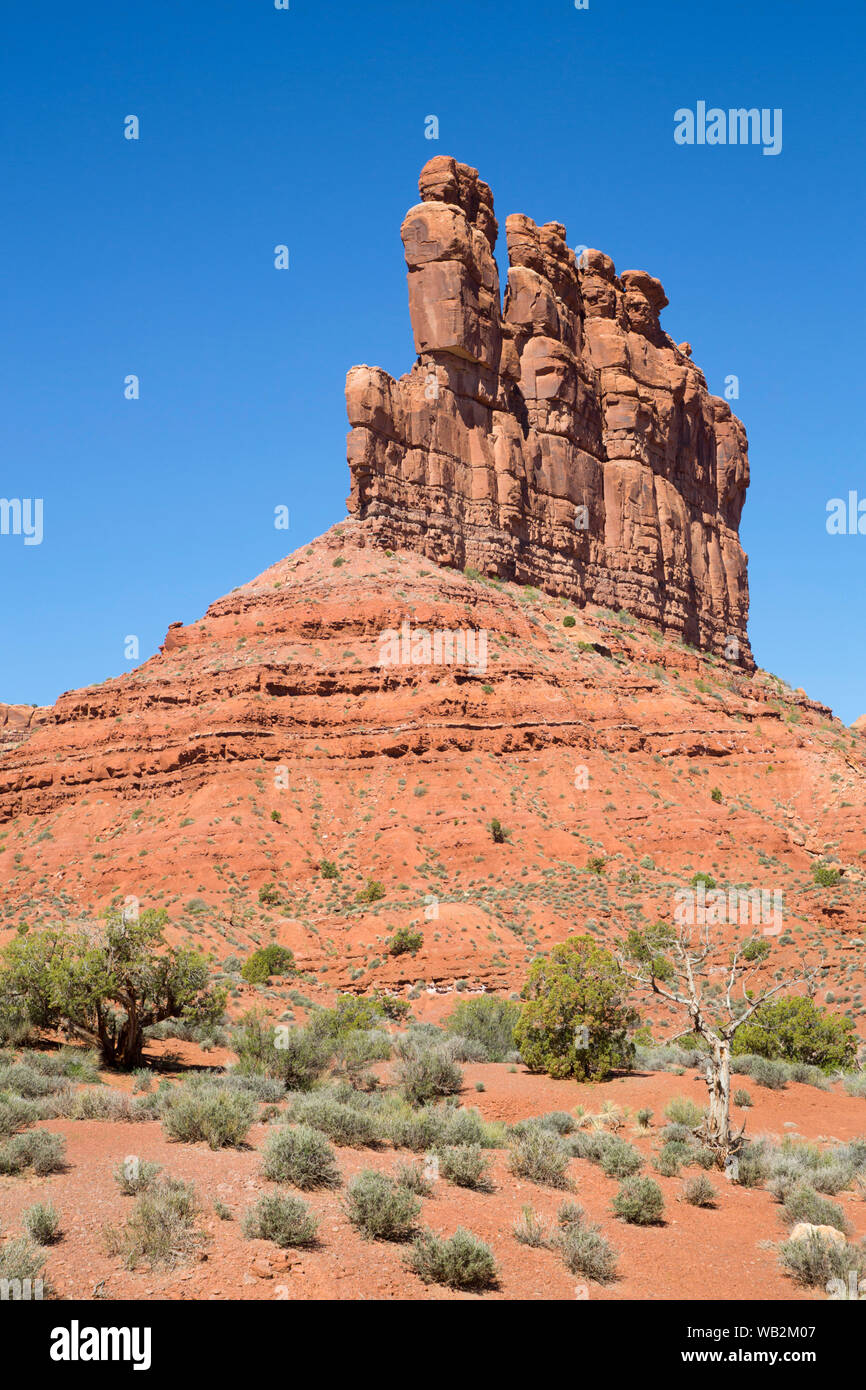 Tal der Götter, Bären Ohren National Monument, Utah, USA Stockfoto