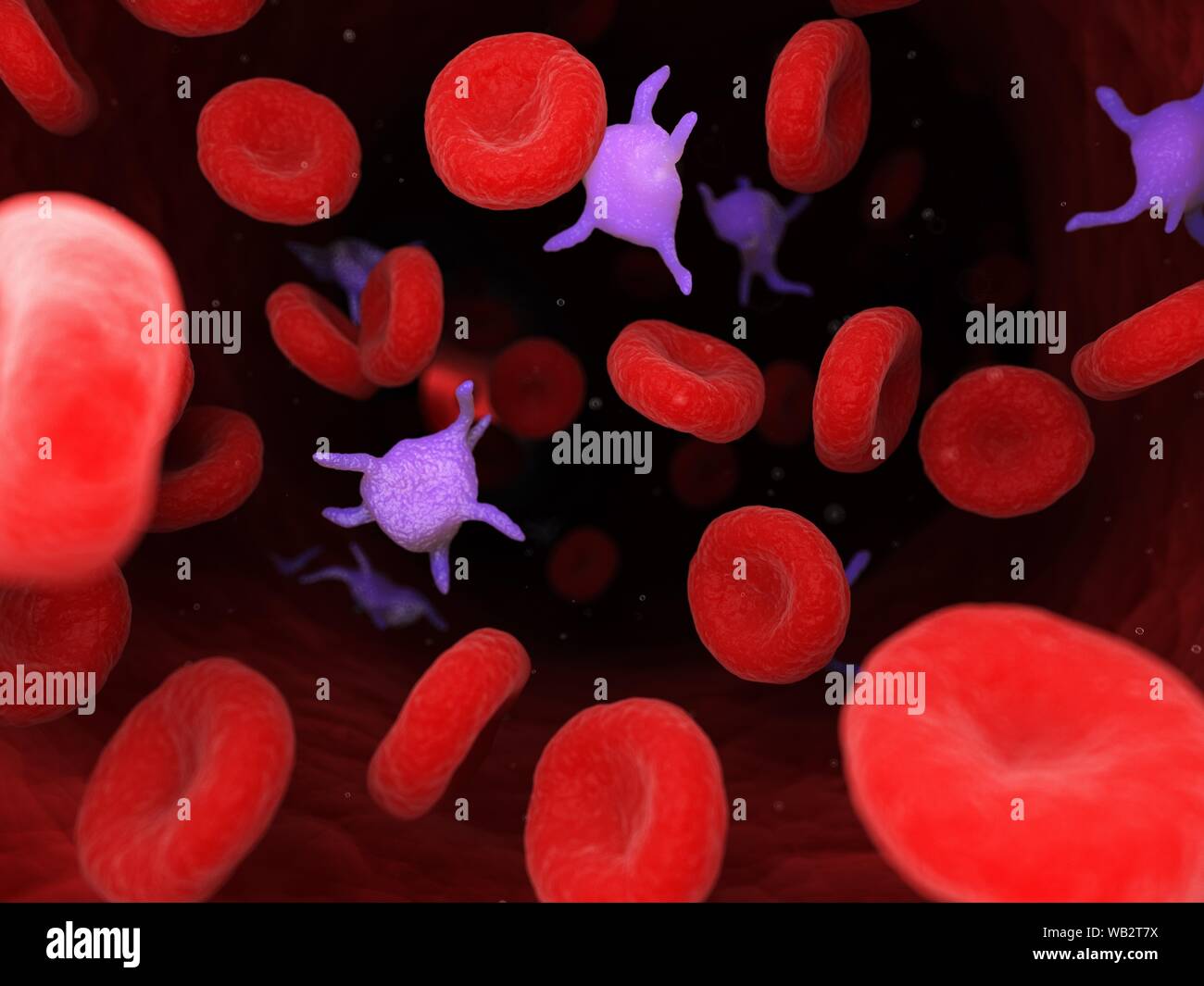 In den Thrombozyten, in der Computer Bild. Stockfoto