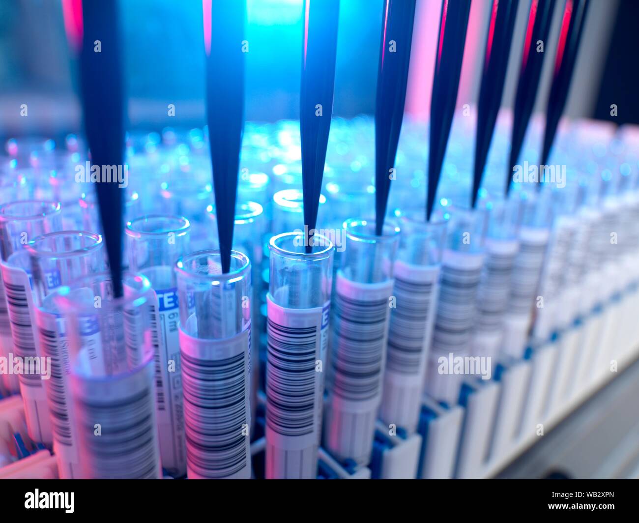 Automatisierte Blutprobe Prüfung im Laboratorium für healthcare Screening. Stockfoto