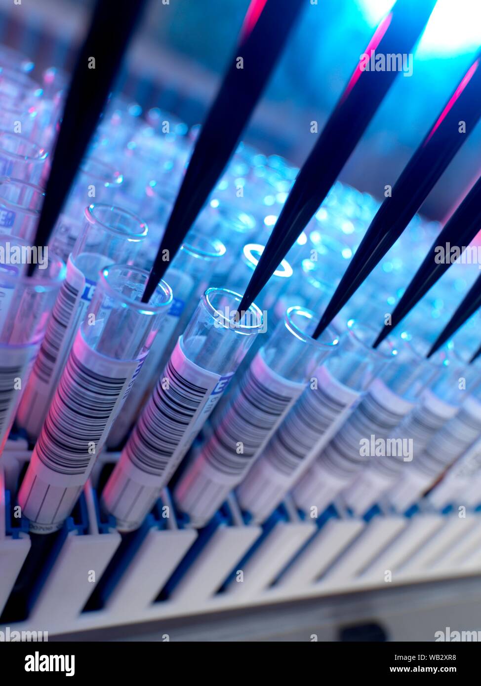 Automatisierte Blutprobe Prüfung im Laboratorium für healthcare Screening. Stockfoto