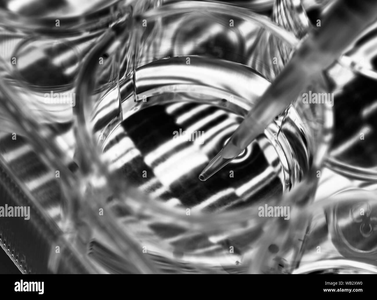 Genetik Forschung. Probe von DNA (Desoxyribonukleinsäure) in a multi-well Platte, mit einer DNA-Sequenz im Hintergrund. Stockfoto