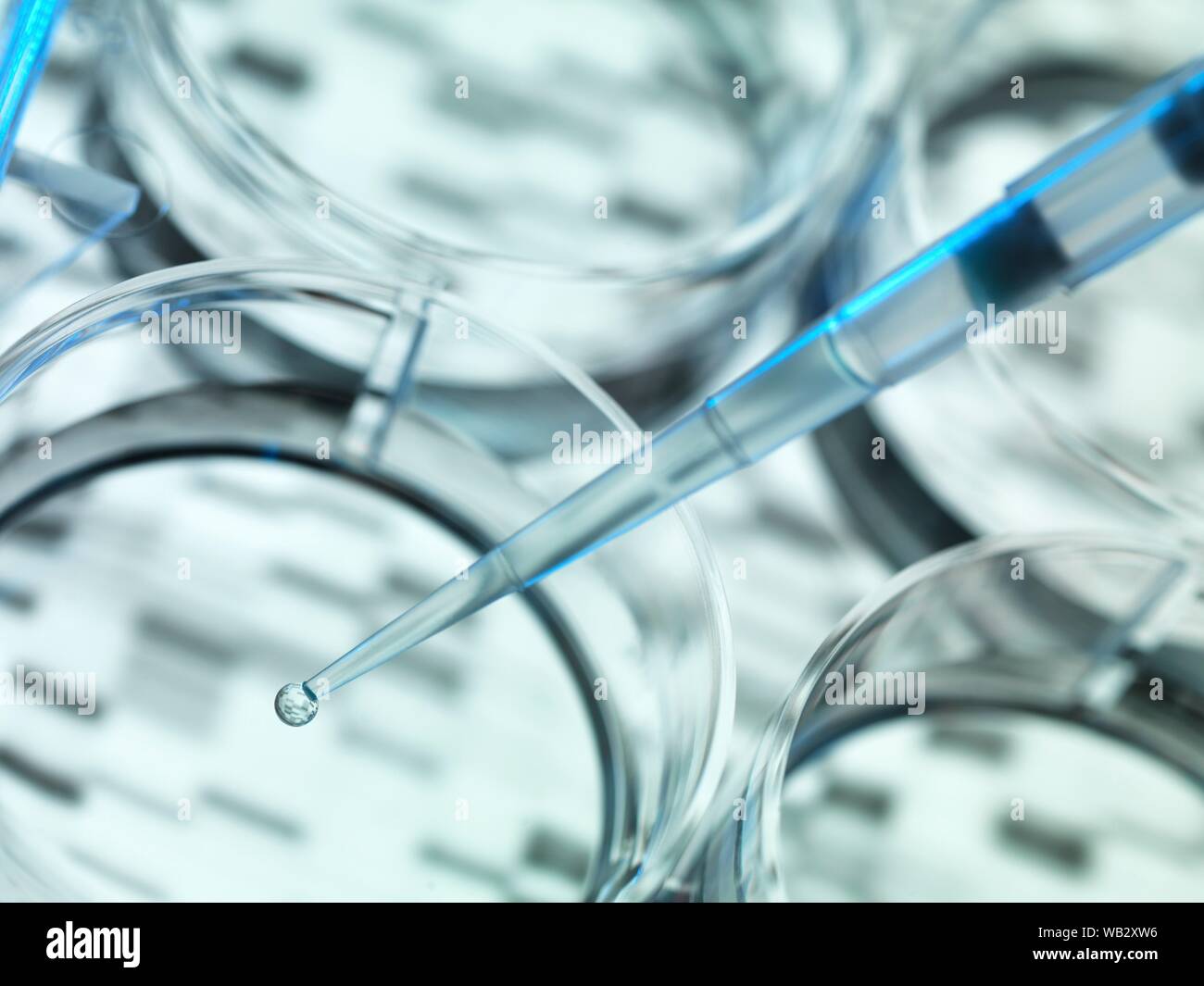 Genetik Forschung. Probe von DNA (Desoxyribonukleinsäure) in a multi-well Platte, mit einer DNA-Sequenz im Hintergrund. Stockfoto