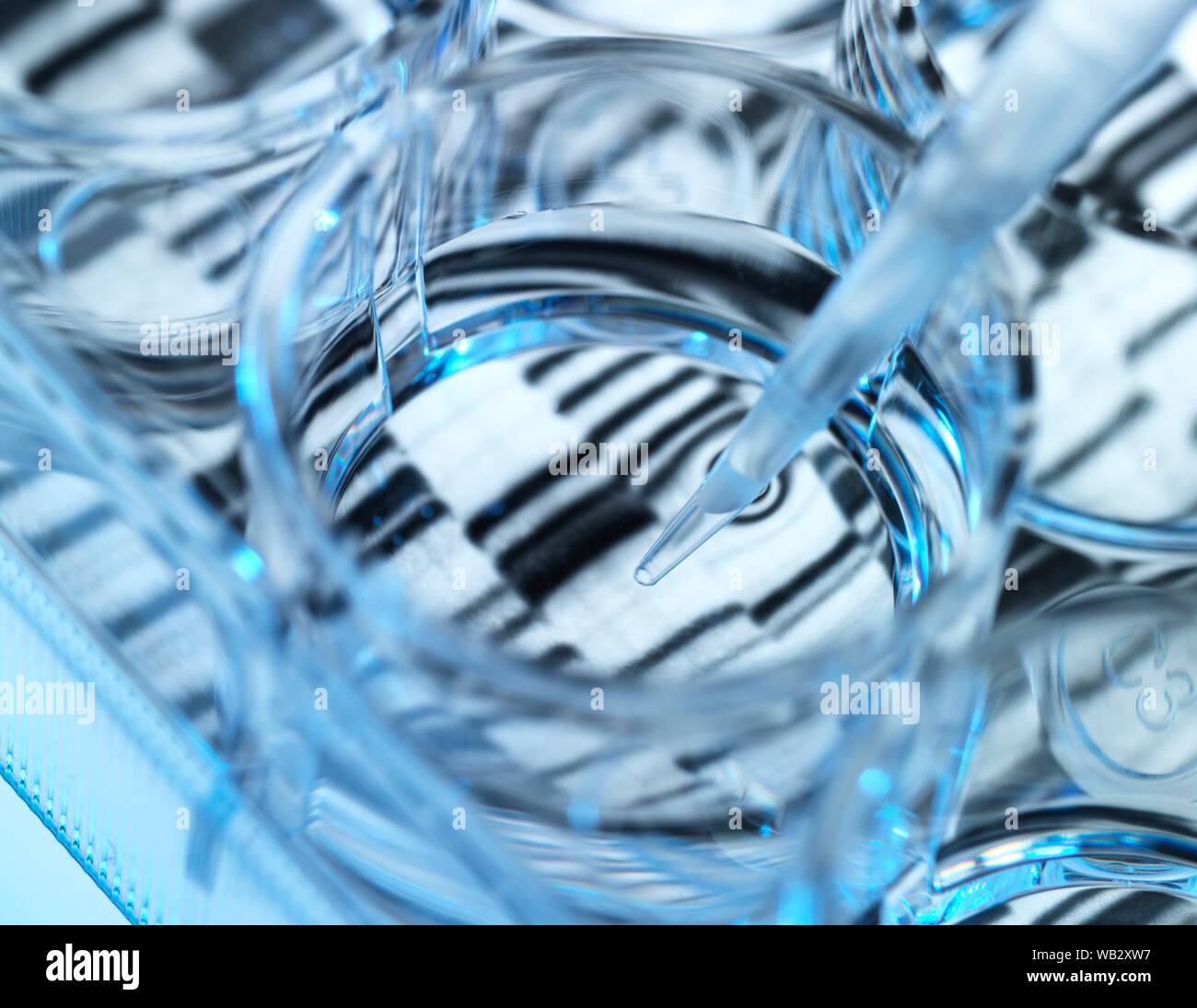 Genetik Forschung. Probe von DNA (Desoxyribonukleinsäure) in a multi-well Platte, mit einer DNA-Sequenz im Hintergrund. Stockfoto