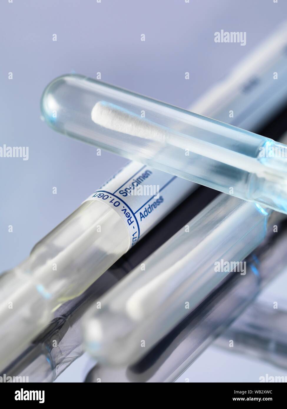 DNA Beweis. DNA (Desoxyribonukleinsäure) Wattestäbchen für genetische Tests verwendet. Stockfoto