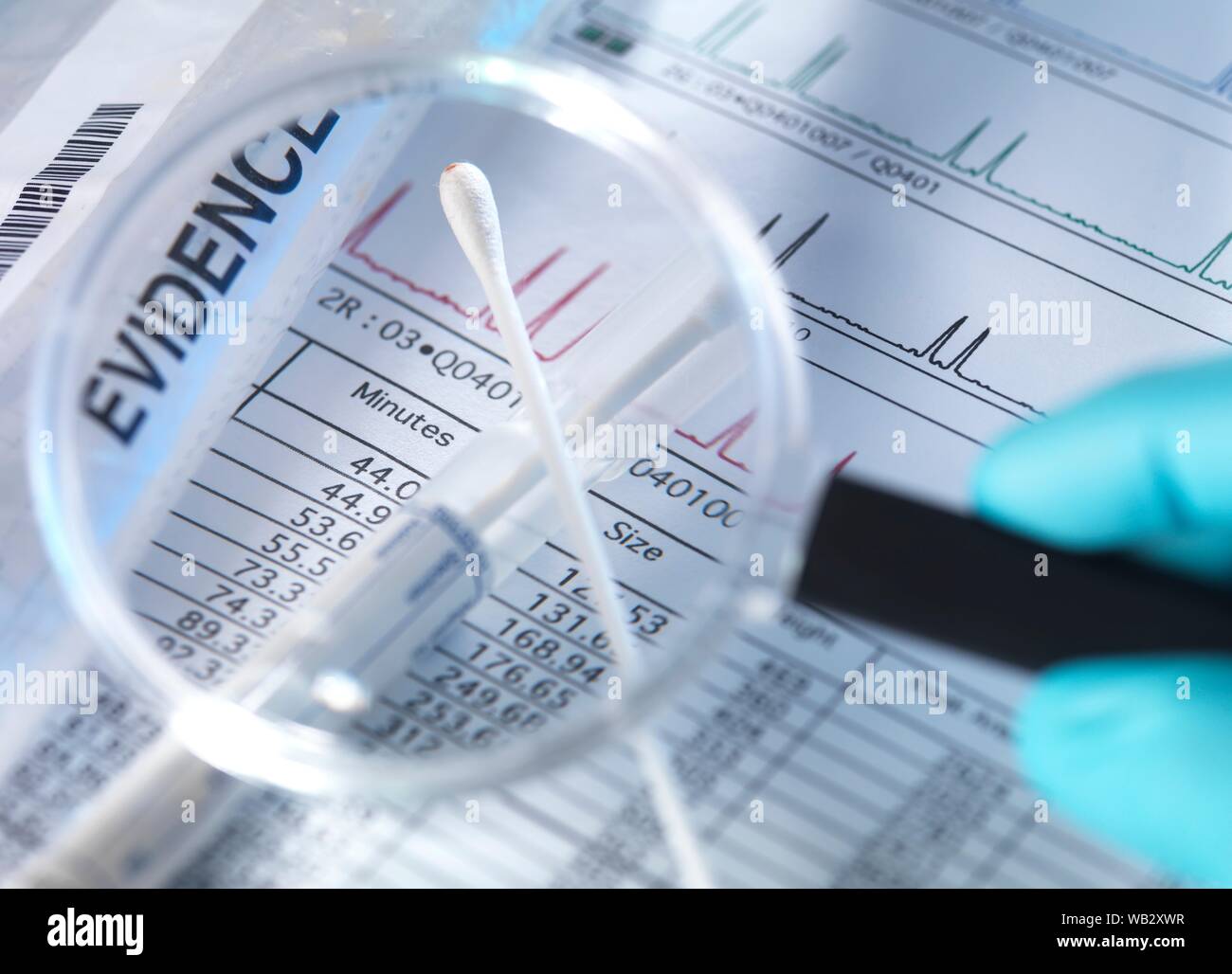 DNA (Desoxyribonukleinsäure) Testergebnisse mit Wattestäbchen. Stockfoto