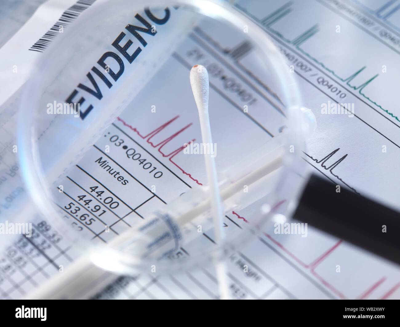 DNA (Desoxyribonukleinsäure) Testergebnisse mit Wattestäbchen. Stockfoto