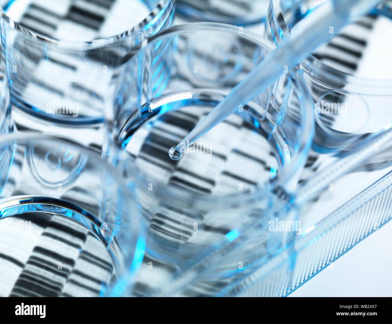 Genetik Forschung. Probe von DNA (Desoxyribonukleinsäure) in a multi-well Platte, mit einer DNA-Sequenz im Hintergrund. Stockfoto