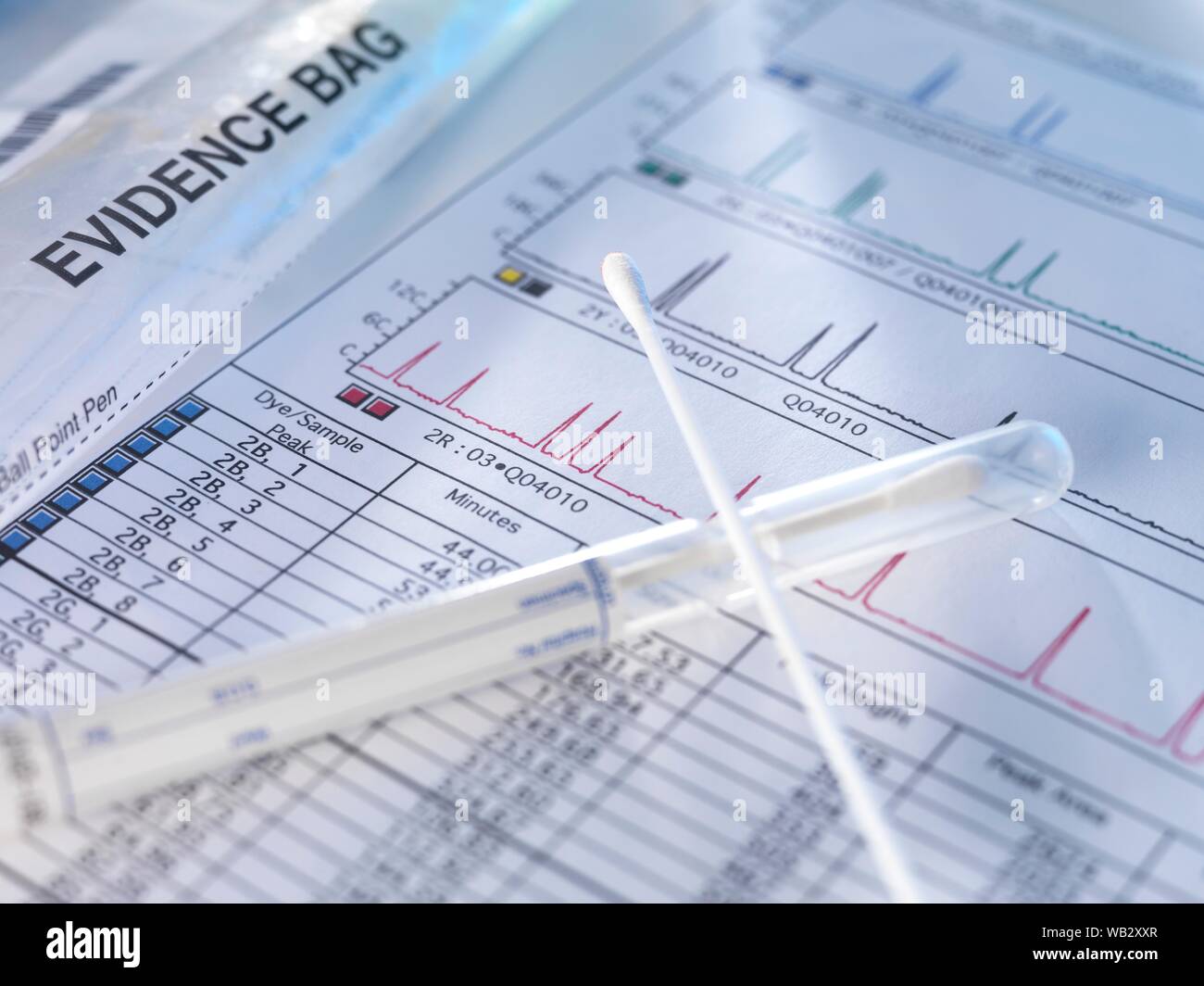 DNA (Desoxyribonukleinsäure) Testergebnisse mit Wattestäbchen. Stockfoto