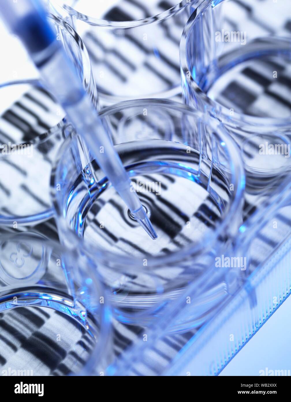 Genetik Forschung. Probe von DNA (Desoxyribonukleinsäure) in a multi-well Platte, mit einer DNA-Sequenz im Hintergrund. Stockfoto