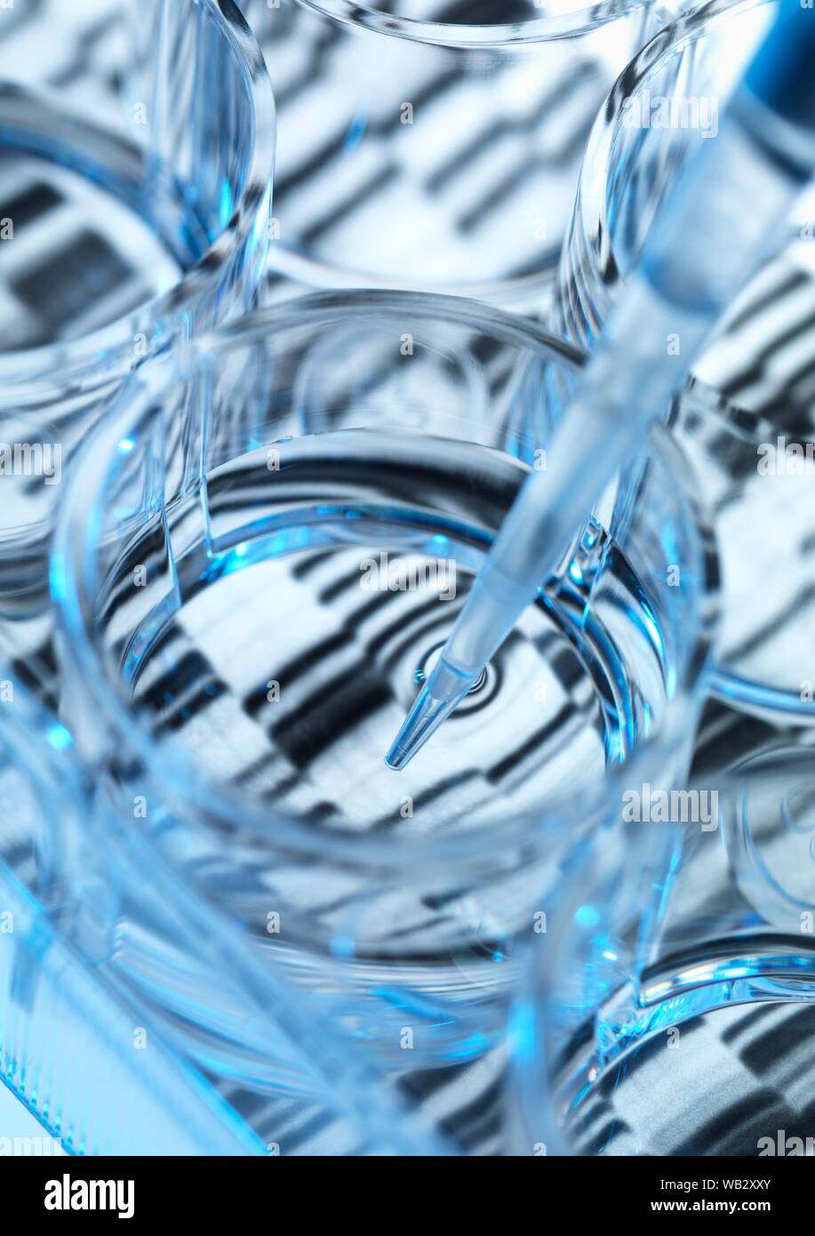 Genetik Forschung. Probe von DNA (Desoxyribonukleinsäure) in a multi-well Platte, mit einer DNA-Sequenz im Hintergrund. Stockfoto