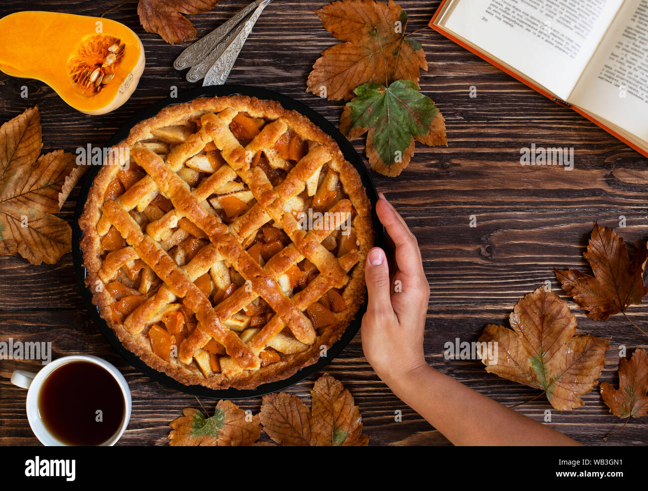 Weibliche Hände halten hausgemachte Kürbiskuchen. Halloween und Thanksgiving. Urlaub Kürbis Süßigkeiten. Holz Herbst Hintergrund, trockene Blätter, schneiden Kürbis, Kaffee Stockfoto