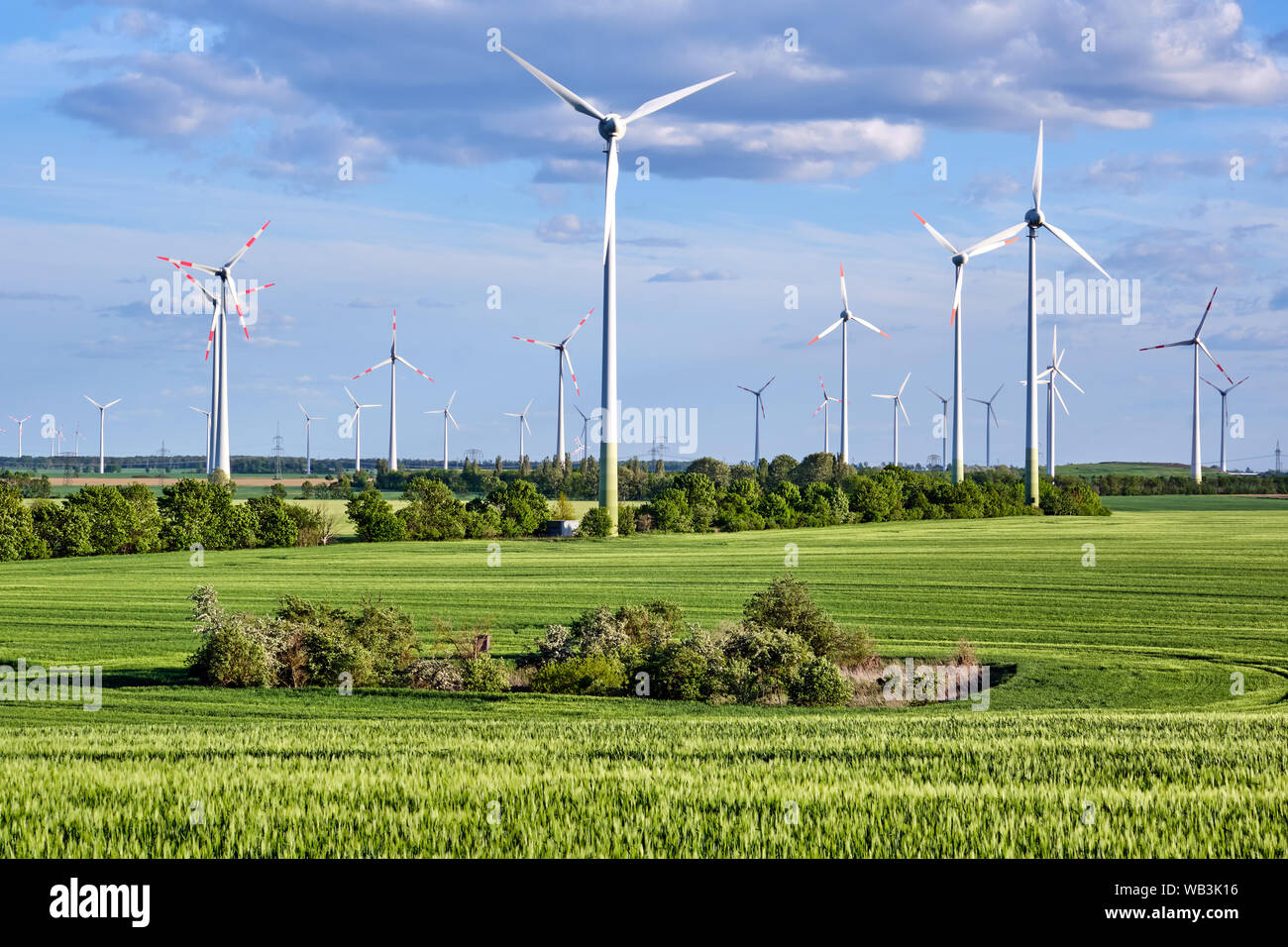 Windräder hinter einem grünen Mais Feld in Deutschland gesehen Stockfoto