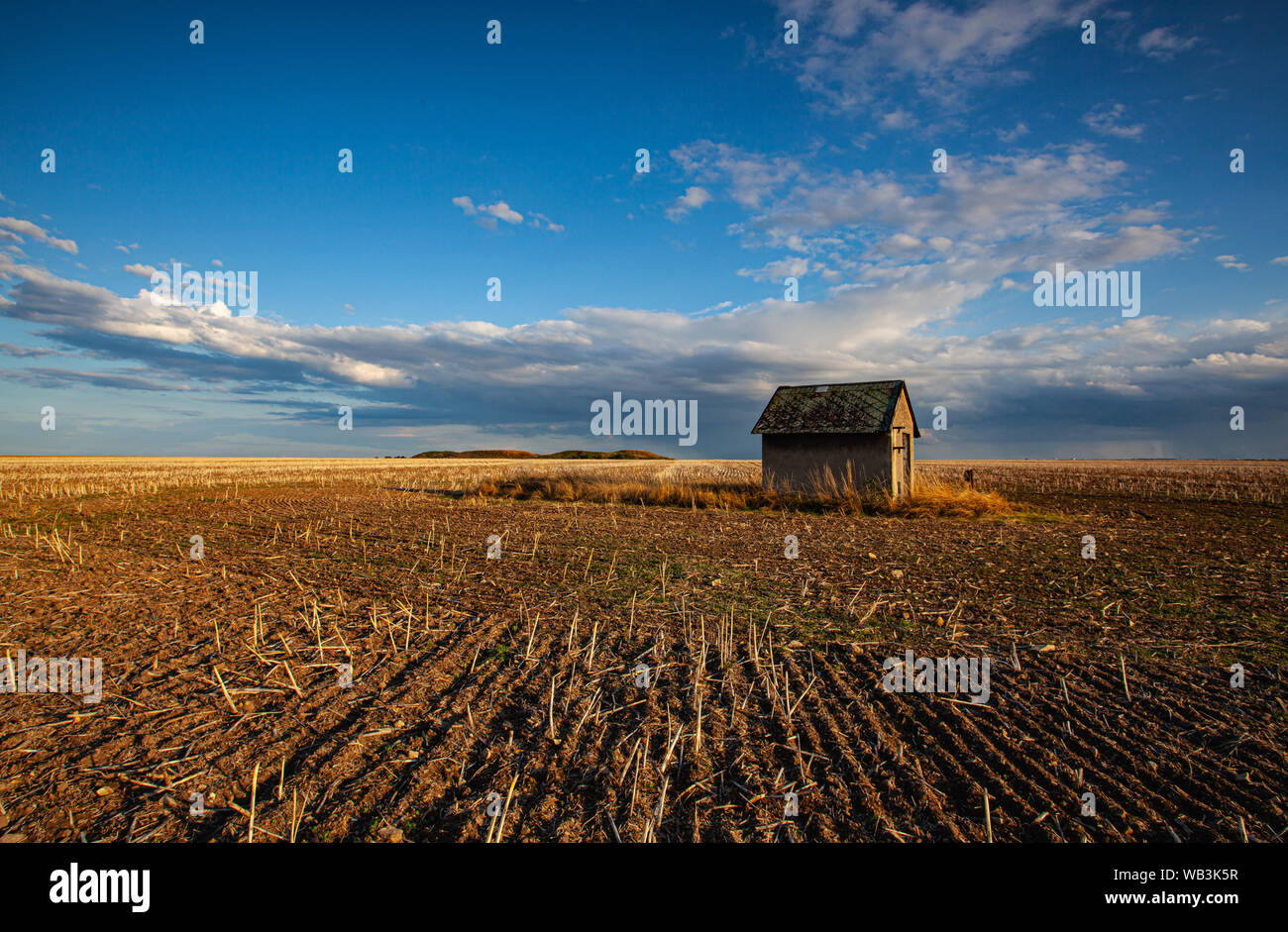Alte Scheune und leeres Feld nach der Ernte in sonniger Tag. Panorama Bild mit Gemähten Weizenfeld unter sonnigen Tag. Der Tschechischen Republik Stockfoto