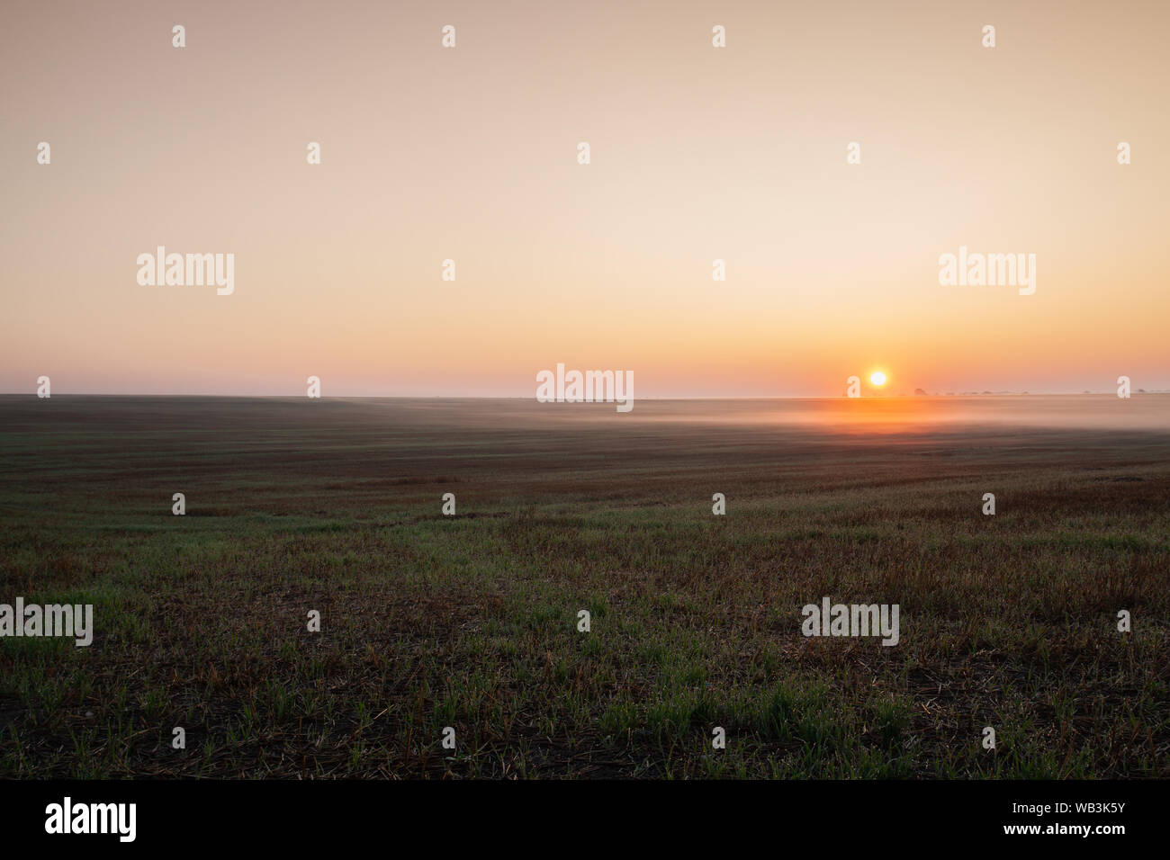 Sonnenaufgang auf dem leeren Feld im Morgennebel. Das Feld nach der Ernte. Stockfoto