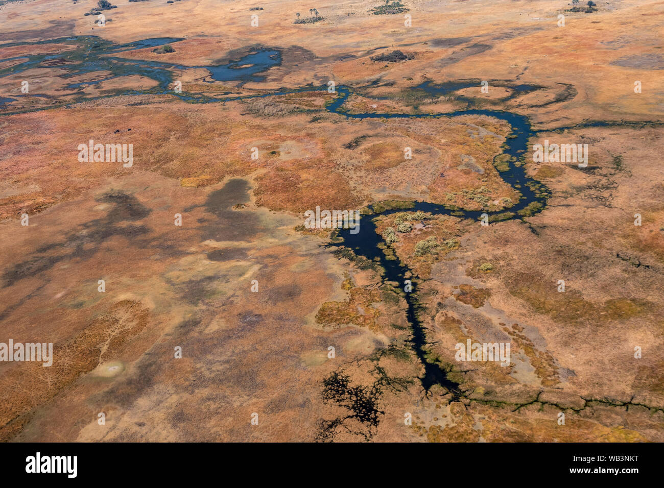 Okavango Delta Aerial, beeindruckende, farbenfrohe trockene Landschaft mit dunklen Blau und Orange Savanne Stockfoto