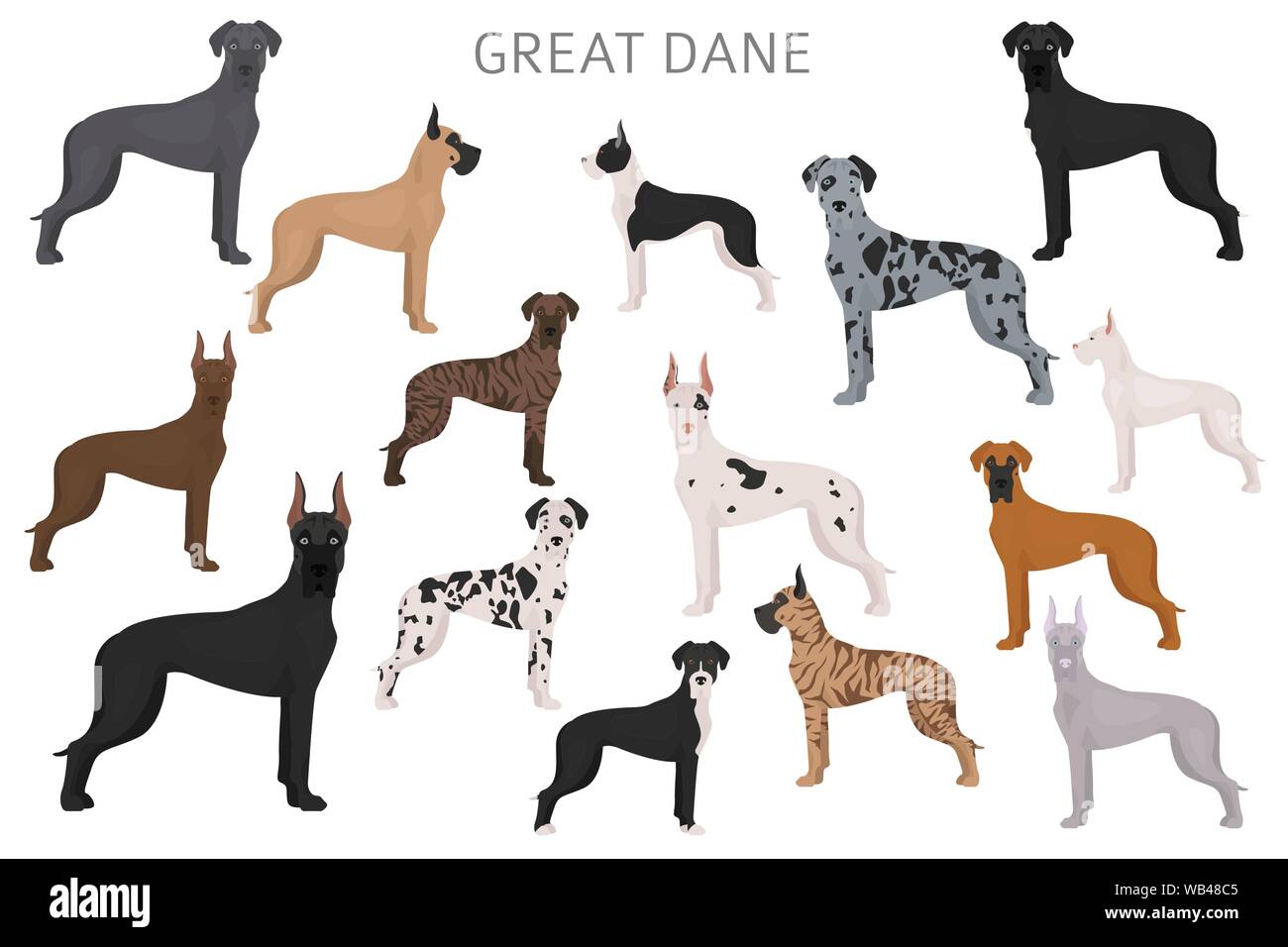 Dogge. Verschiedene variaties von fellfarbe Hund gesetzt. Vector Illustration Stock Vektor