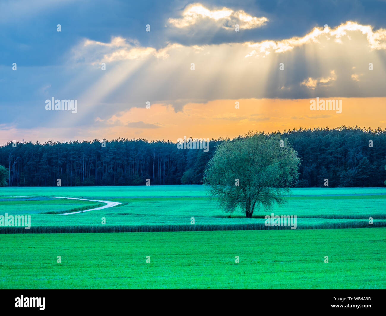 Eine Landstraße bei Sonnenuntergang Frühling. Podlachien. Podlachia. Polen, Europa. Die Region wird als Podlasko oder Podlasze. Stockfoto