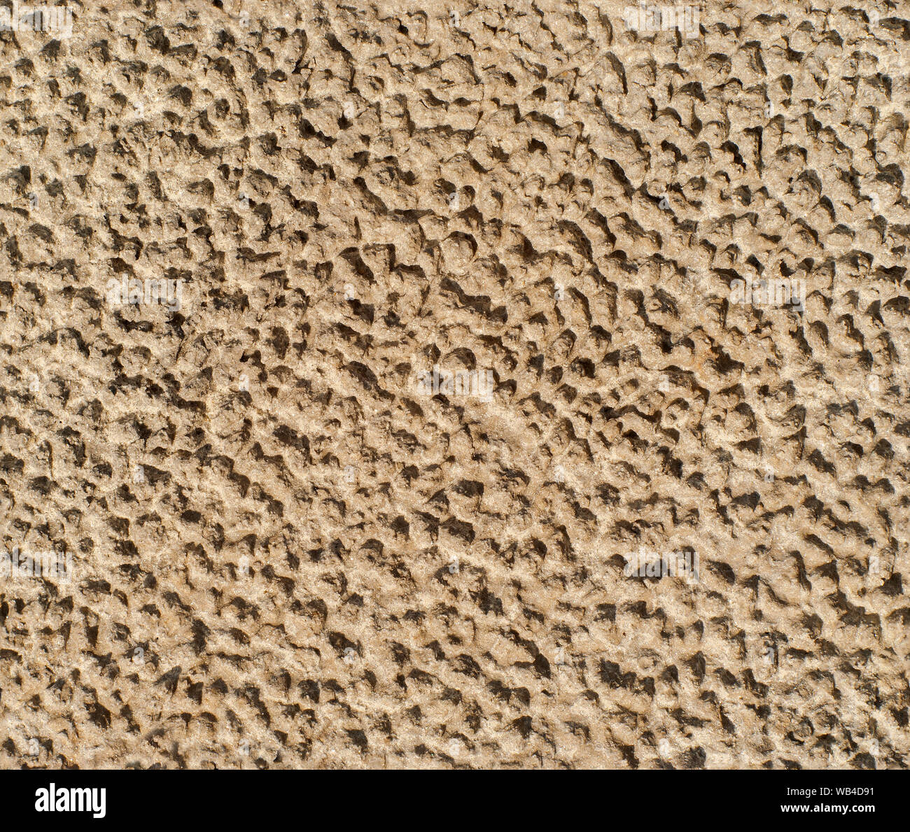 Lehm Textur Dried clay -Fotos und -Bildmaterial in hoher Auflösung – Alamy