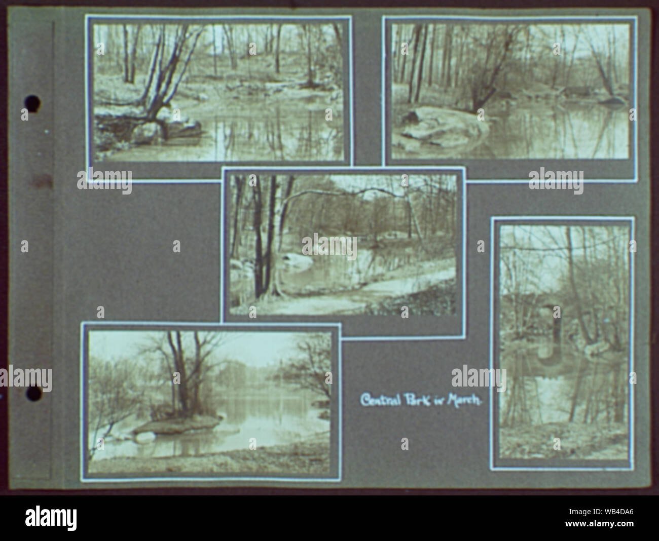 Frühe Jahre, mit Bildern von Familie, Selbstporträts, Landschaften und architektonischen Interieur. Abstract / Medium: Gottscho-Schleisner Sammlung Stockfoto
