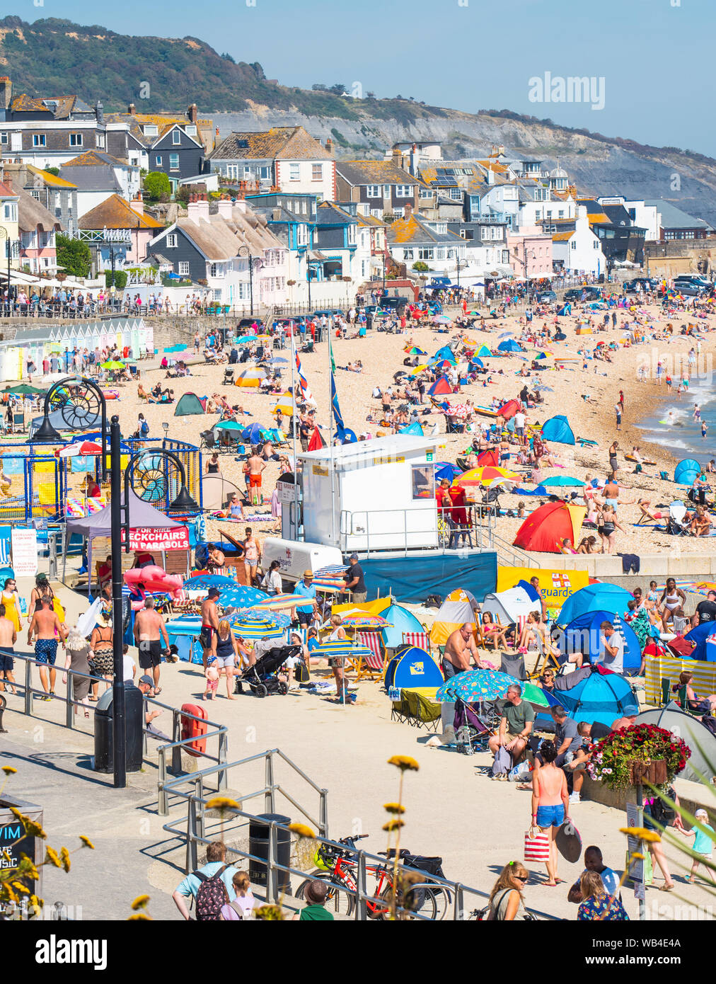 Lyme Regis, Dorset, Großbritannien. 24. August 2019. UK Wetter: Massen von Urlaubern und Sonnenanbeter in Scharen zu den Badeort von Lyme Regis in sizzling heiße Sonne zu sonnen. Am Nachmittag auch der Kiesstrand war, rammte mit Menschen. Credit: Celia McMahon/Alamy Leben Nachrichten. Stockfoto