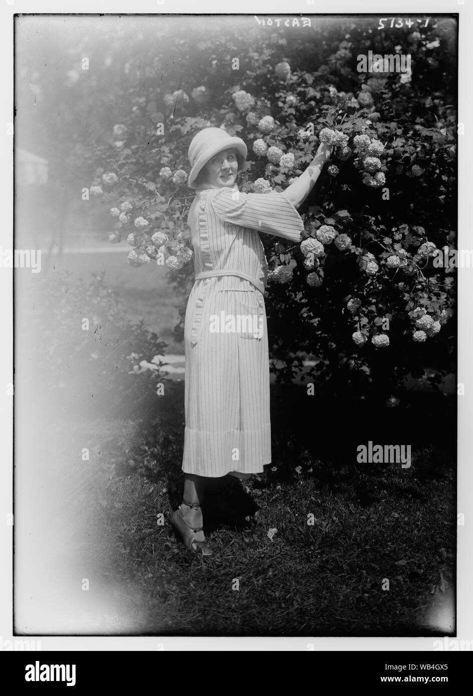 Easton Abstract / Medium: 1 Negativ: Glas; 5 x 7 in. oder kleiner. Stockfoto