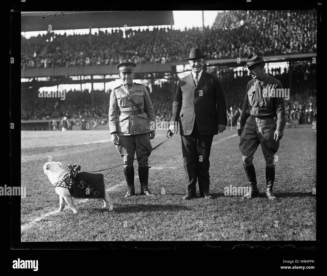 Edwin Denby mit bulldogge SMC bei Stadion Abstract / Medium: 1 Negativ: Glas; 4 x 5 in. oder kleiner Stockfoto