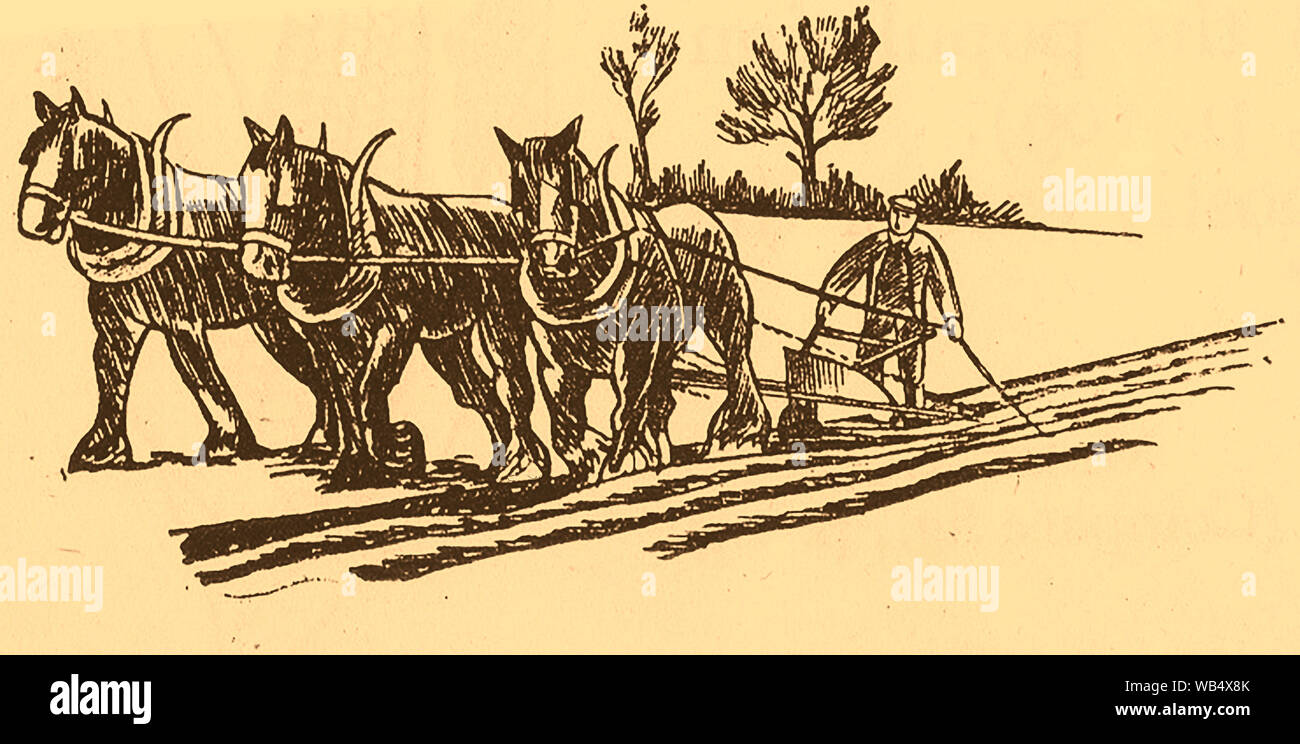 1930er Jahre - eine Skizze von einem Bauern pflügen von Hand mit Hilfe der 3 Pferde Stockfoto