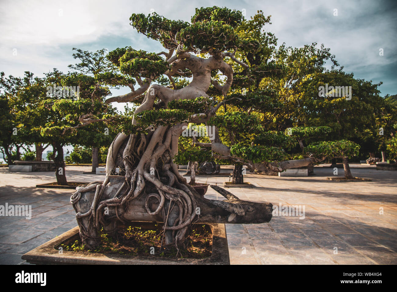 Lady Buddha Statue in Da Nang, Vietnam Stockfoto