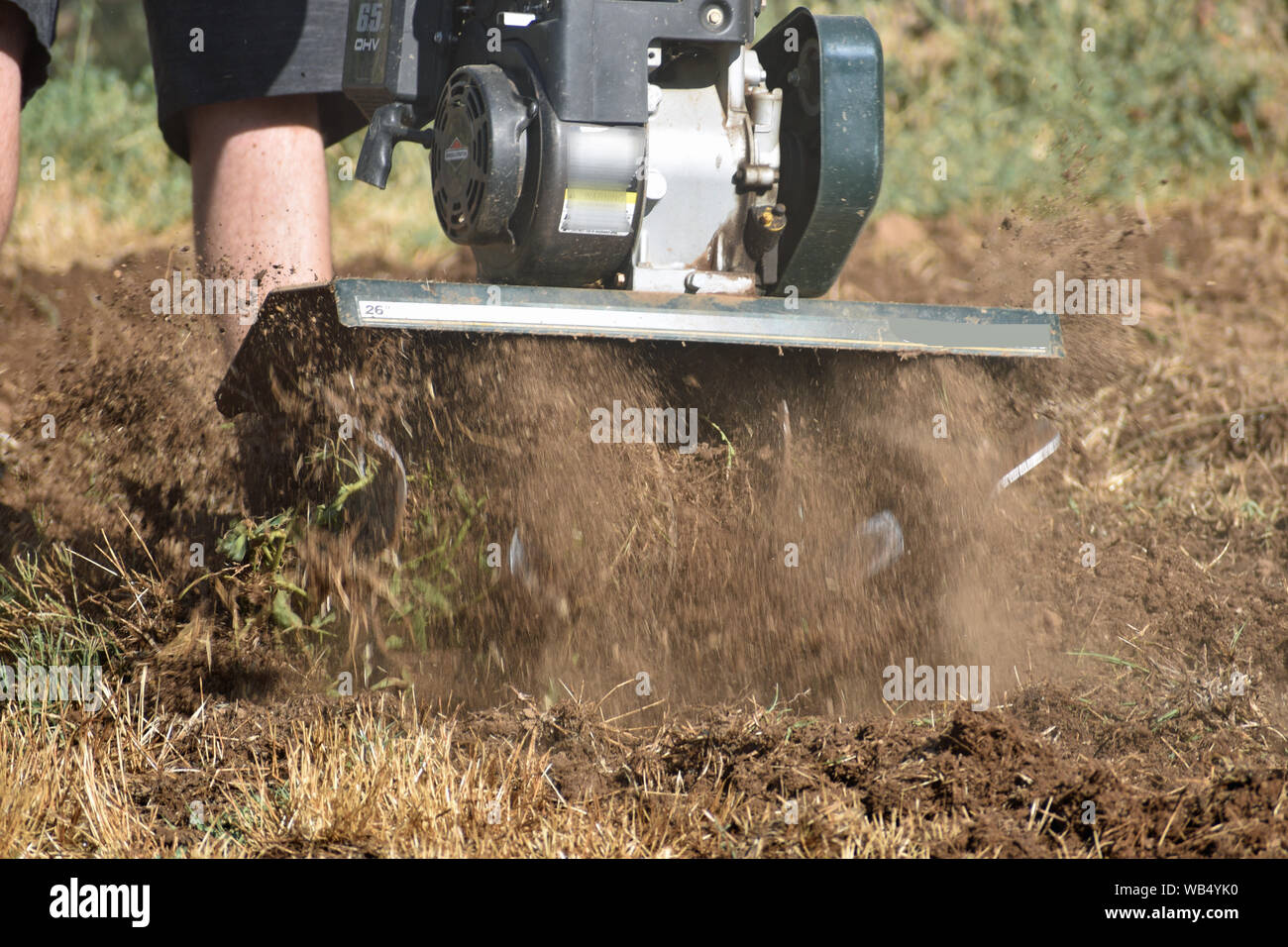 Rotilling den Garten Stockfoto
