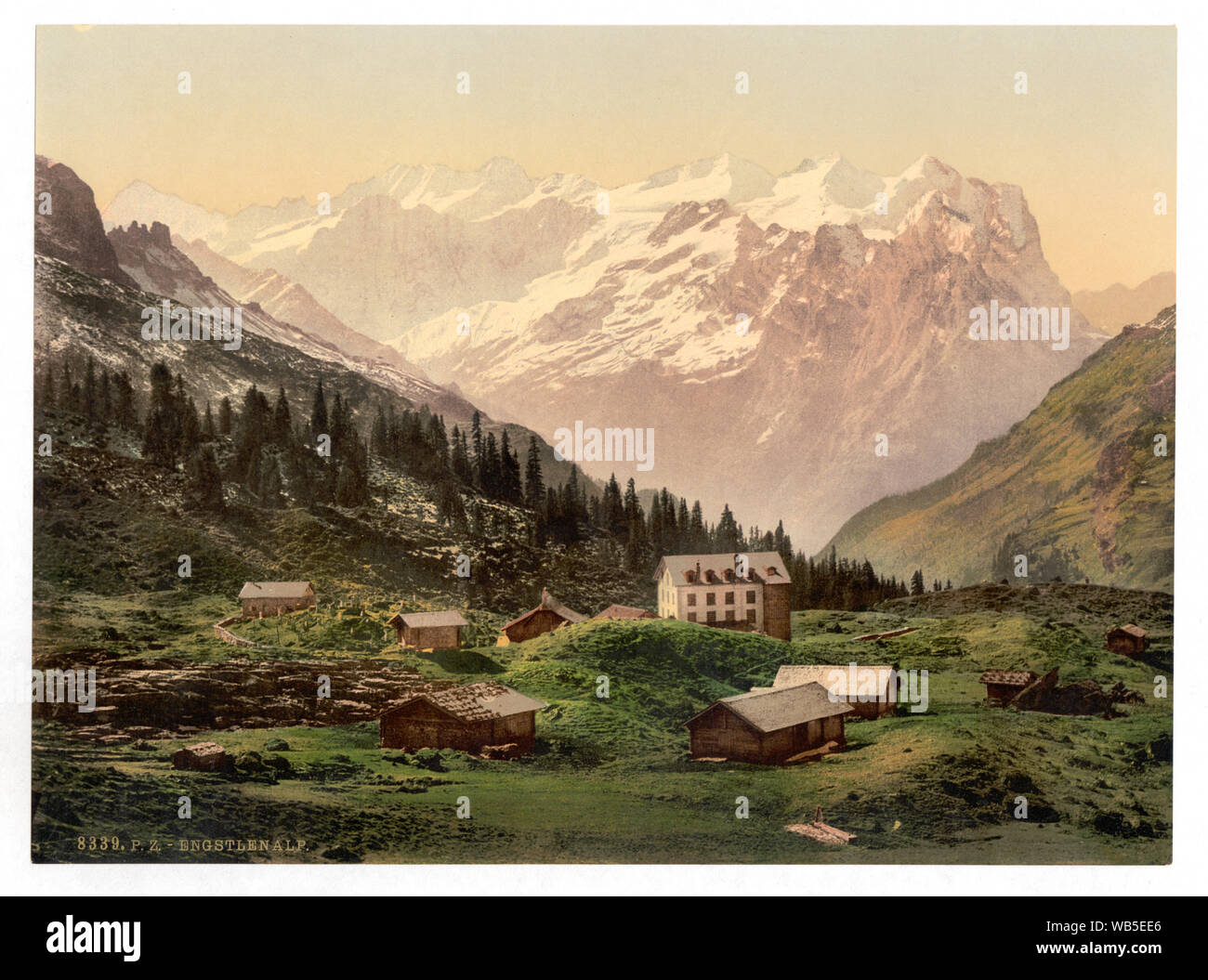 Engstlenalp, allgemeine Ansicht, Unterwald, Schweiz; Drucken. 8339.; Teil:  Ansichten der Schweiz in der Photochrom print Collection.; Titel von  Bibliothek Personal entwickelt Stockfotografie - Alamy