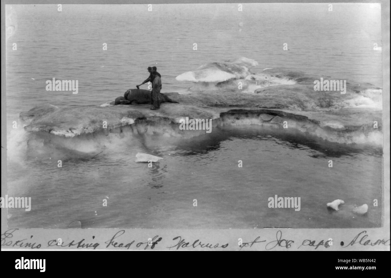 Eskimo Schneidkopf aus walross im Ice Cape, Alaska Abstract / Medium: 1 Fotoabzug. Stockfoto