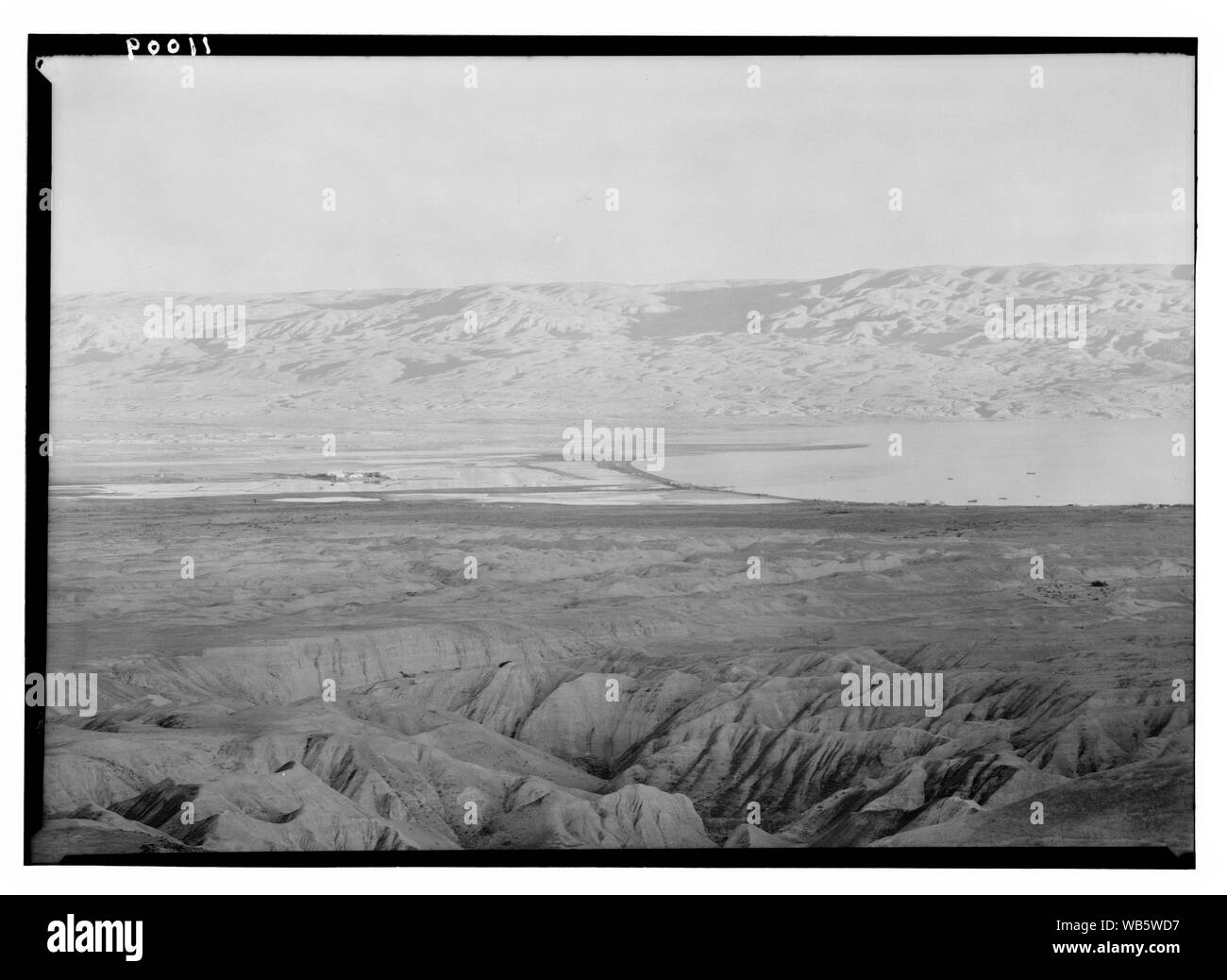 Abendlicht auf Moab Mts. von Neby Mousa [d. h. Nebi Musa] Abstract / Medium: G. Eric und Edith Matson Fotosammlung Stockfoto