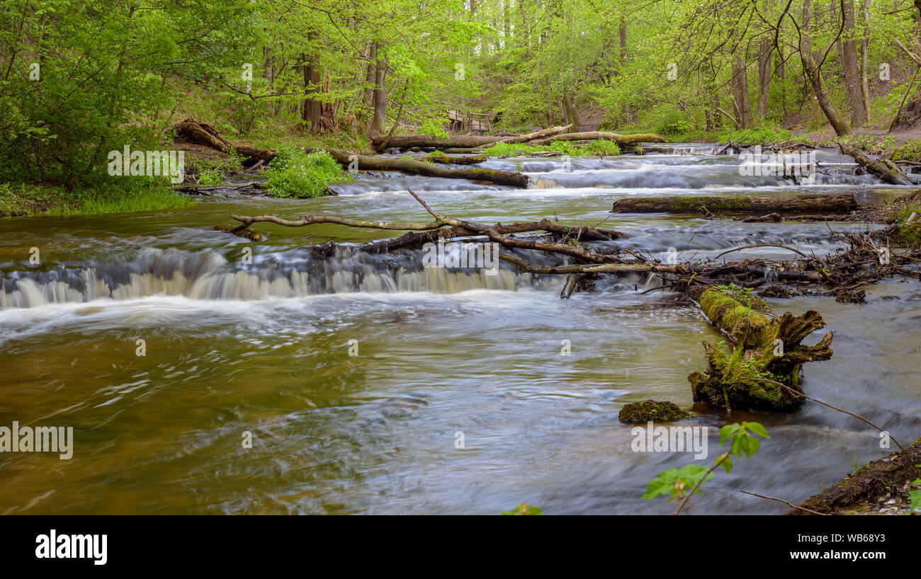 Ansicht der Kaskaden auf tanew Fluss im Naturschutzgebiet Nad Tanwia in Ostpolen Stockfoto
