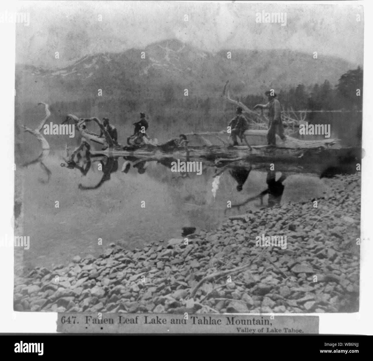 Fallen Leaf Lake und Tahlac Mt., das Tal von Lake Tahoe Abstract / Medium: 1 Foto: die Hälfte stereograph, eiweißstoff. Stockfoto