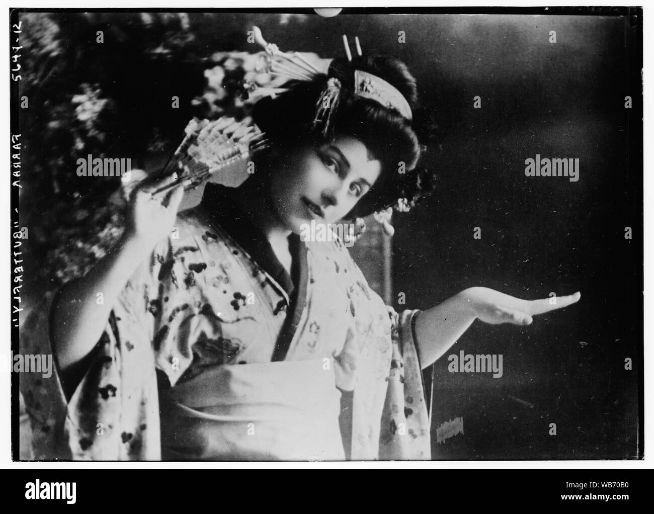 Farrar Schmetterling Abstract / Medium: 1 Negativ: Glas; 5 x 7 in. oder kleiner. Stockfoto