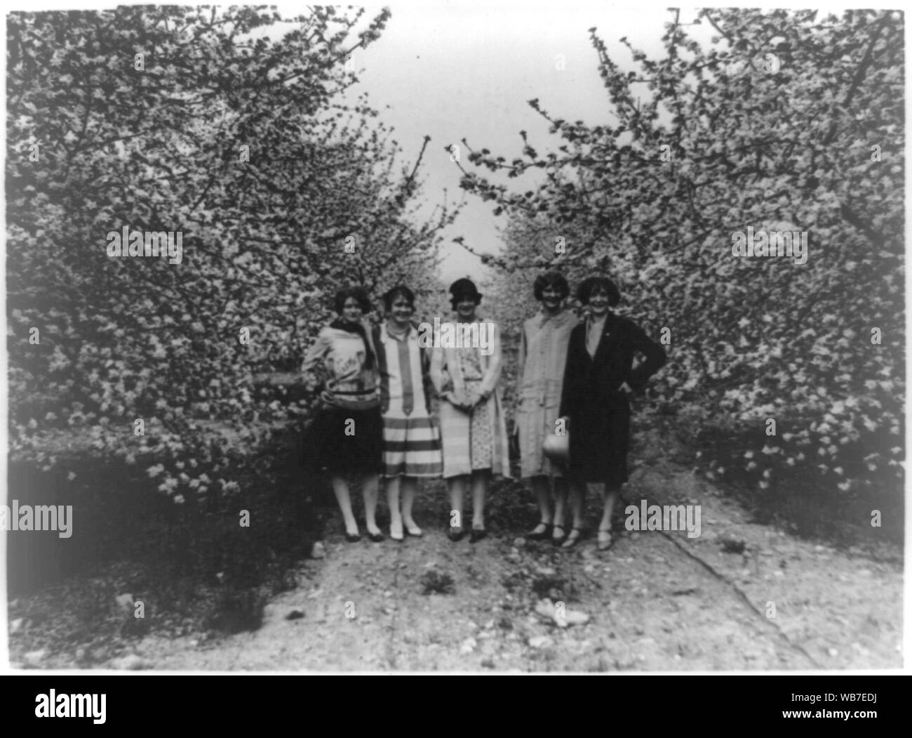 Funf Frauen Aus Winchester Va Die Zimmermadchen Wird Der Ehre Sein Die Konigin In Der Jahrlichen Shenandoah Apple Blossom Festival Unter Einigen Der Bluhenden Baume Julia Rene Susan Steck Mary Russell Lillian Funf Frauen Aus Winchester Va Die Zimmermadchen Wird Der Ehre Sein Die Konigin In Der Jahrlichen Shenandoah Apple Blossom Festival Unter Einigen Der Bluhenden Baume Julia Rene Susan Steck Mary Russell Lillian