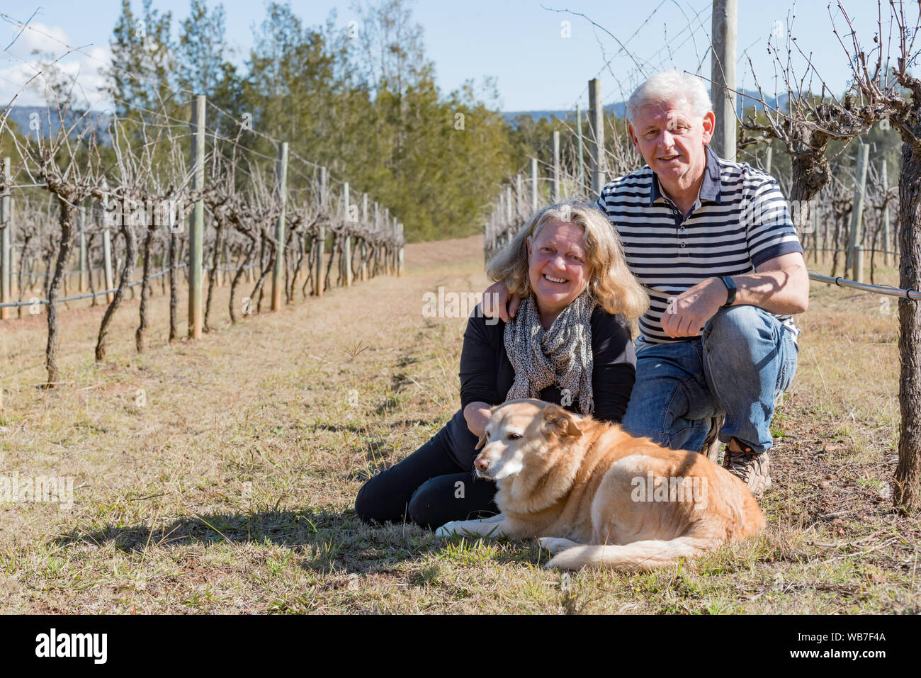 Betreiber und Vingerons am Schlitten boutique Hotel und Weingut im Hunter Valley, Nerina und Alistair Tringham mit ihren Hund nicht ombi Stockfoto