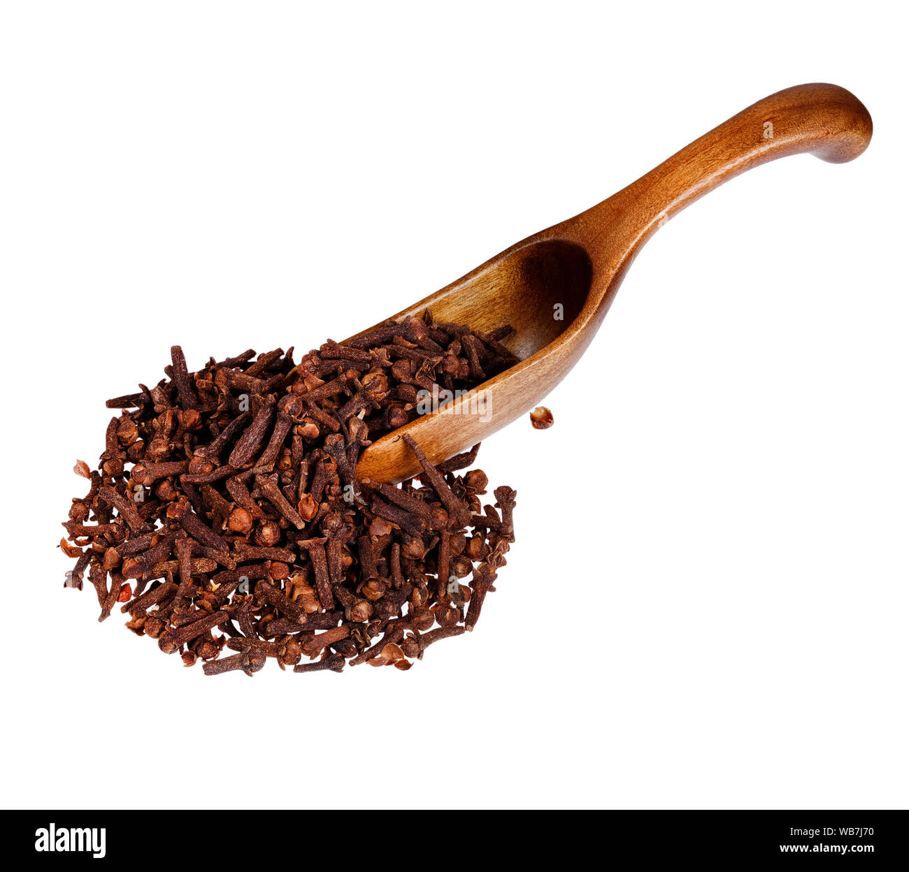 Getrocknete Nelken in den hölzernen Löffel, auf weißem Hintergrund. Stockfoto
